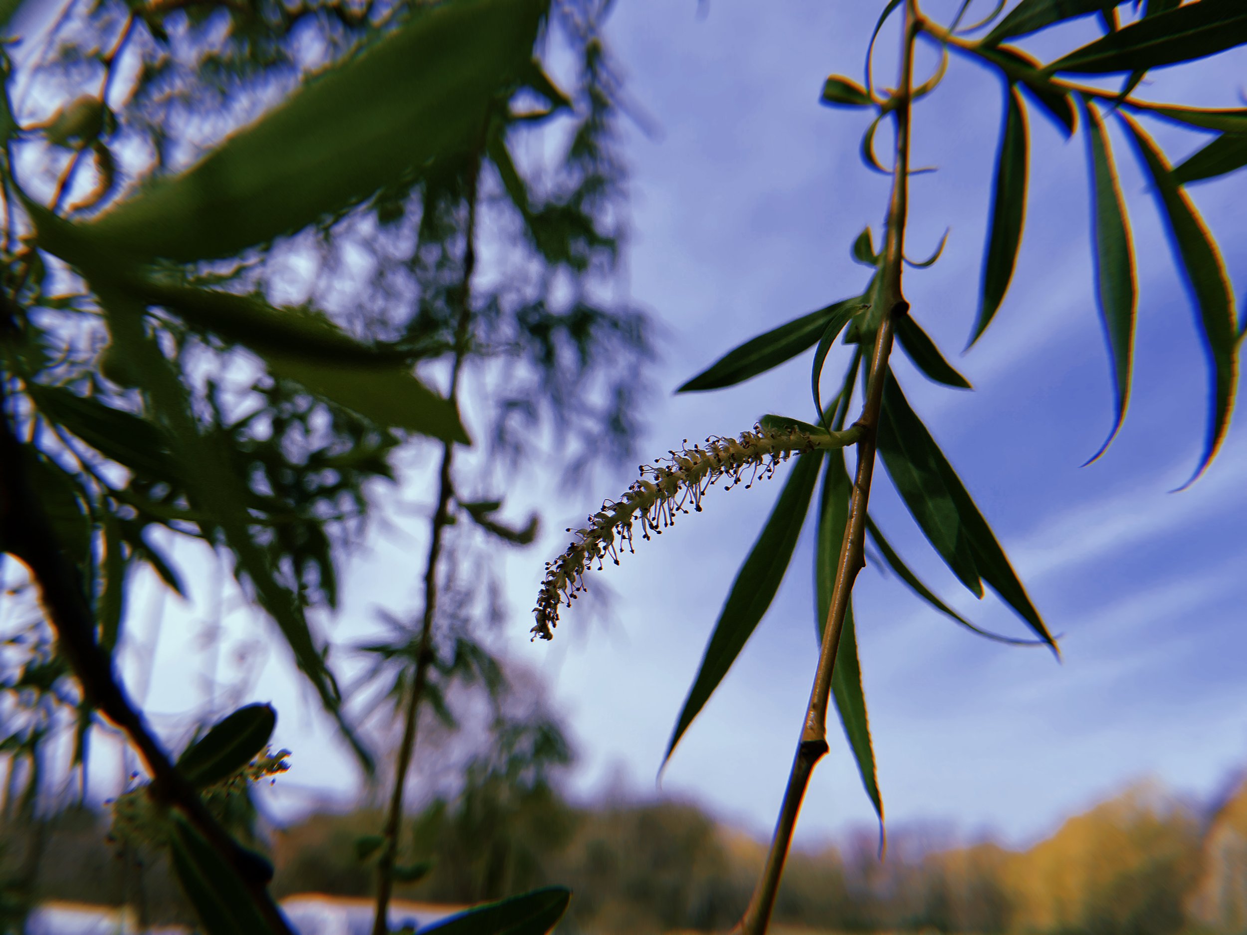 2023-04-28 10:20:36.865.jpeg