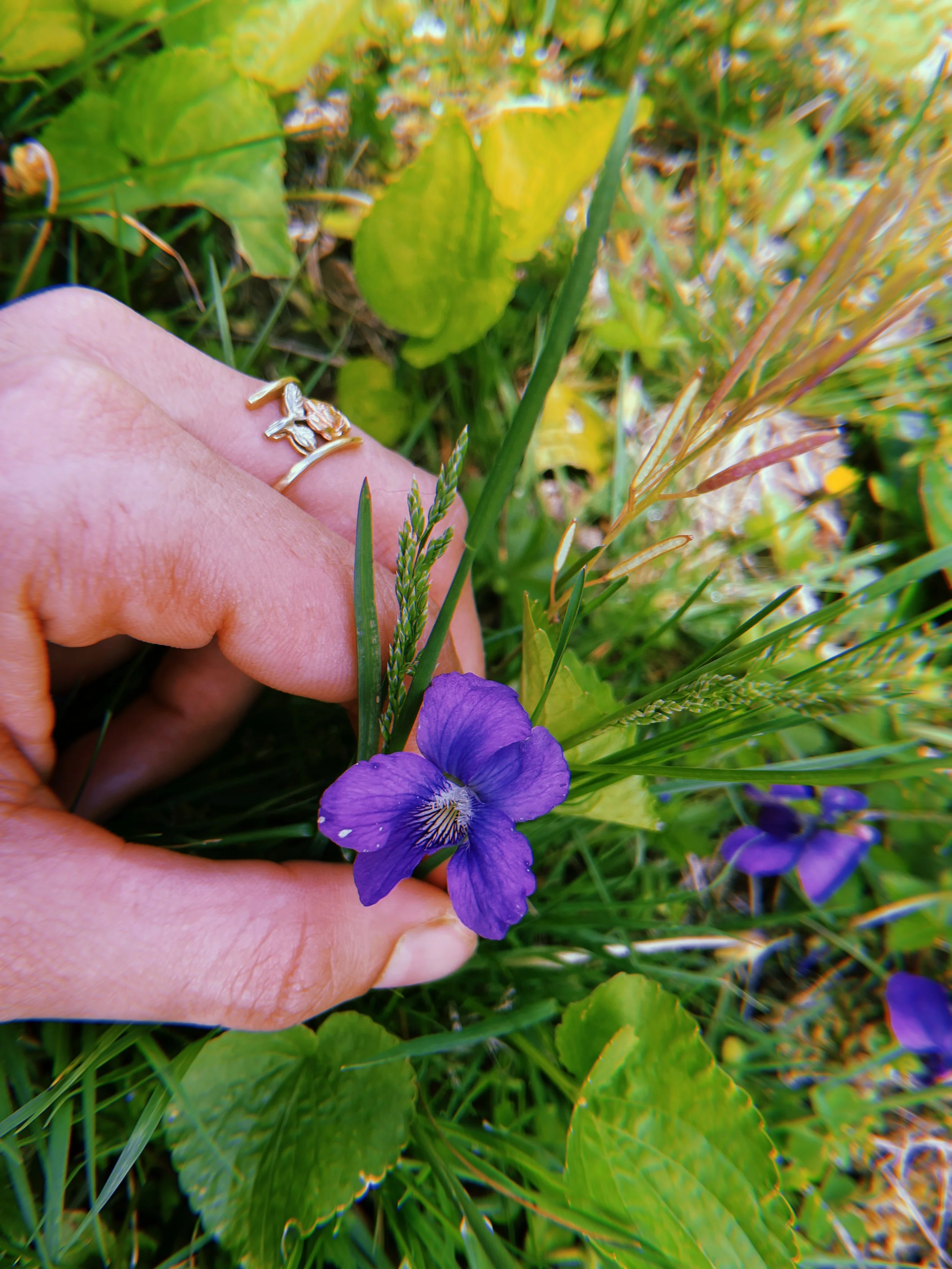 2022-05-13 13:25:26.780.jpeg