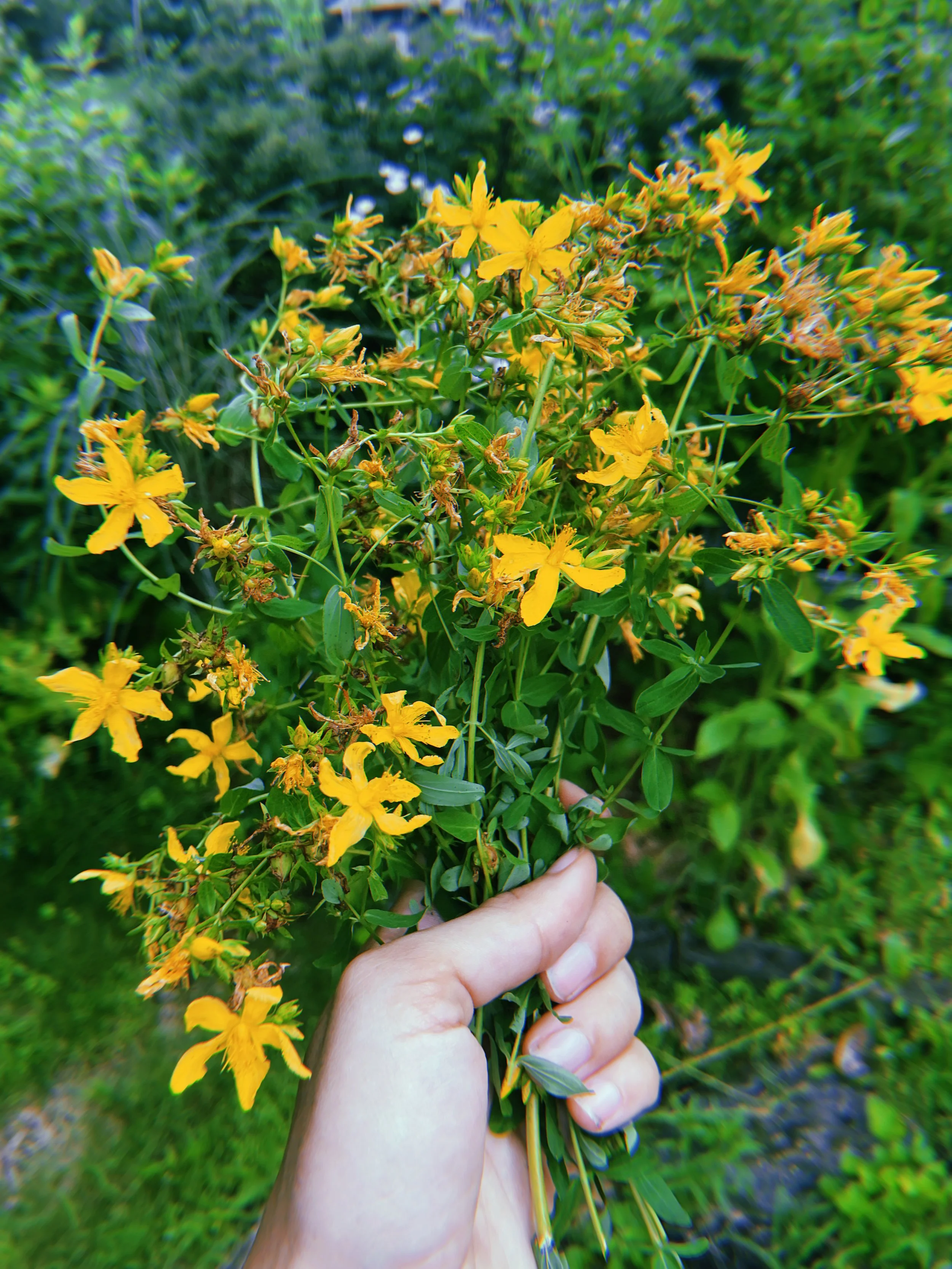 2023-07-08 16:28:57.726.jpeg