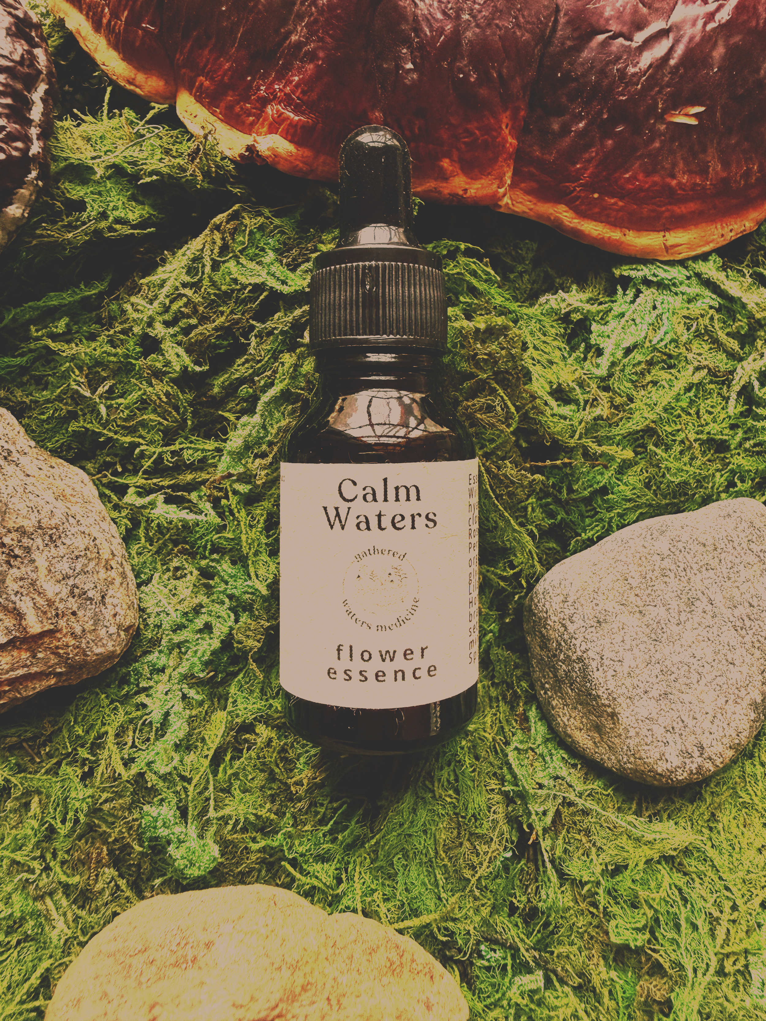 Calm Nibi (Waters) ~ Flower Essence
