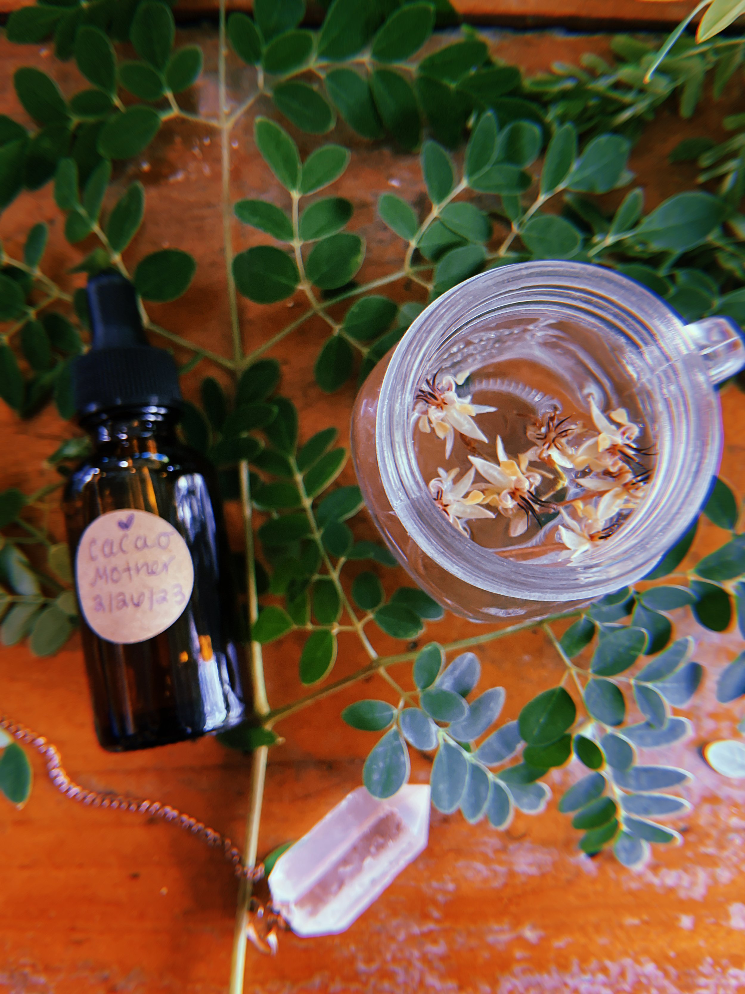 2023-02-26 16:36:04.813.jpeg