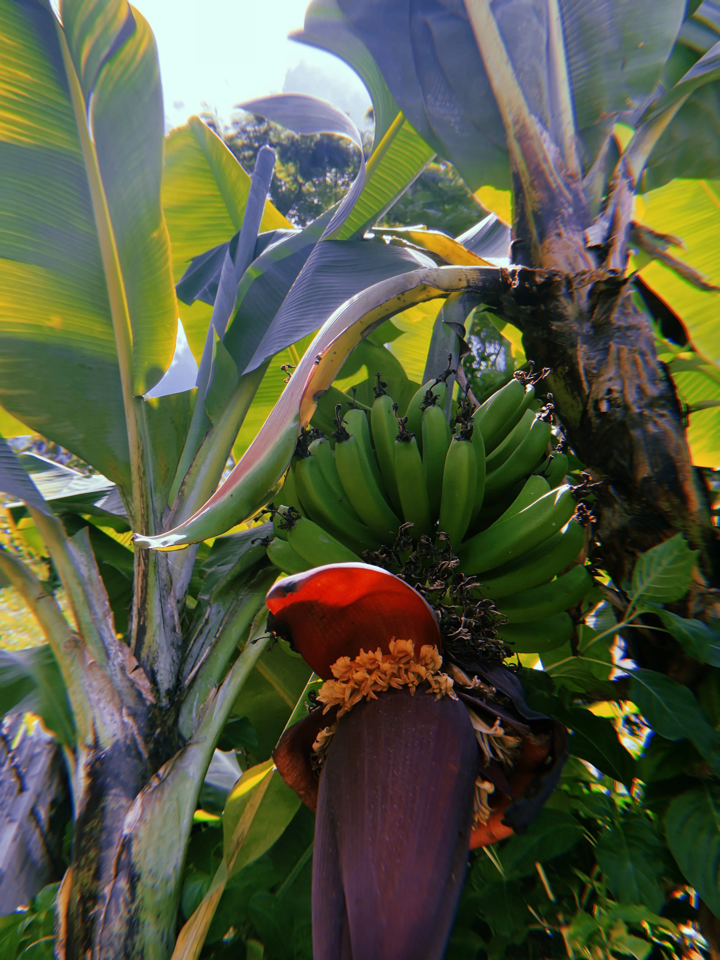 2022-07-01 12:19:14.358.jpeg