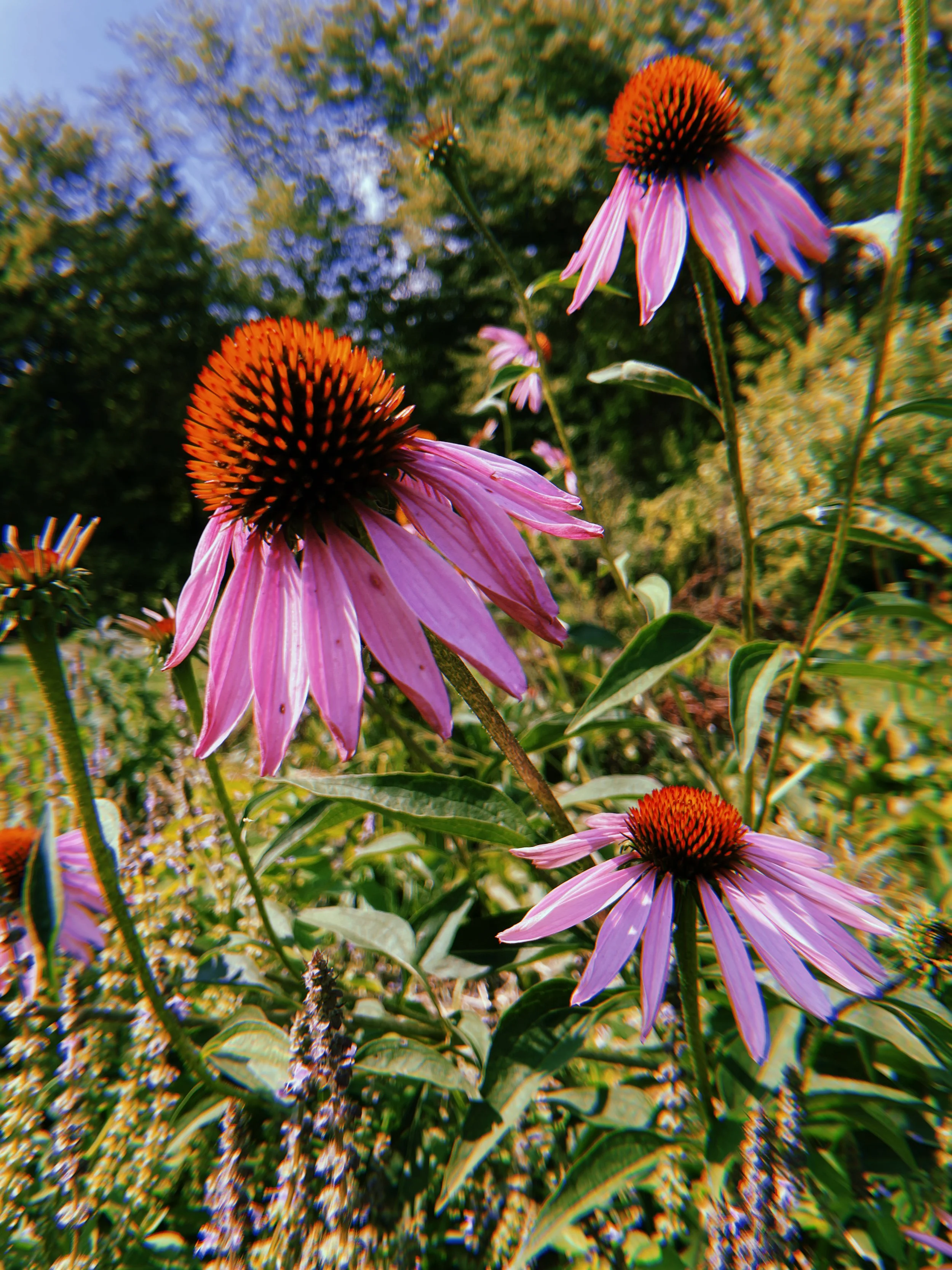 2022-09-18 13:09:28.459.jpeg