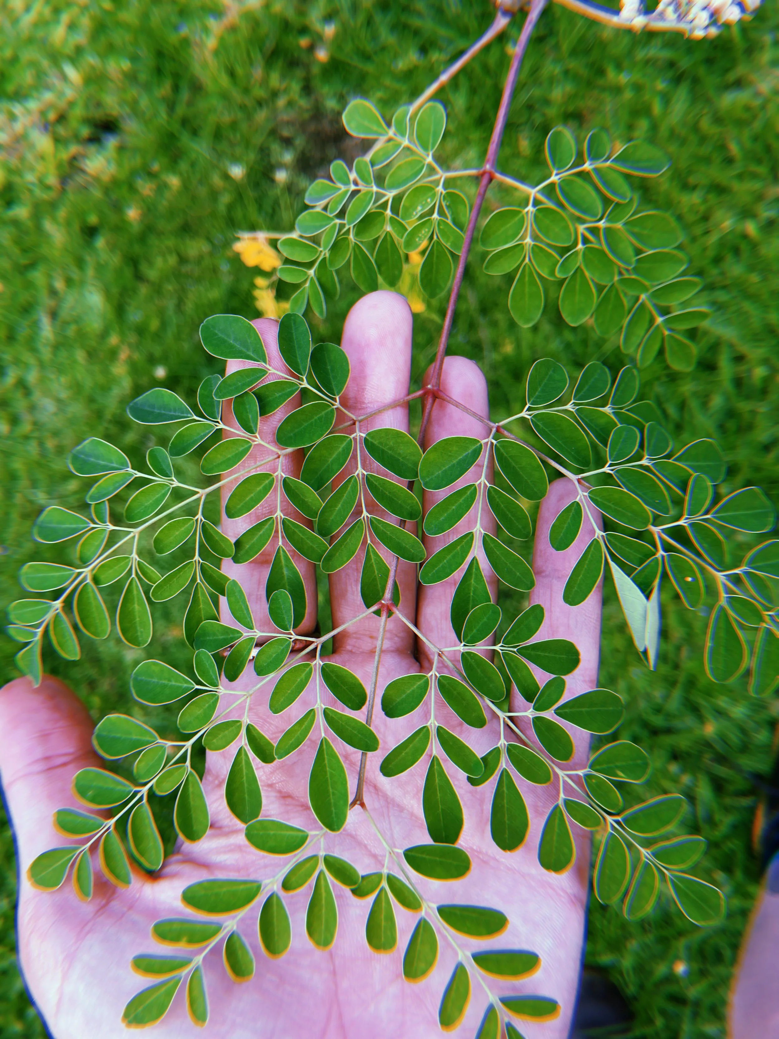 2023-02-23 15:59:57.933.jpeg