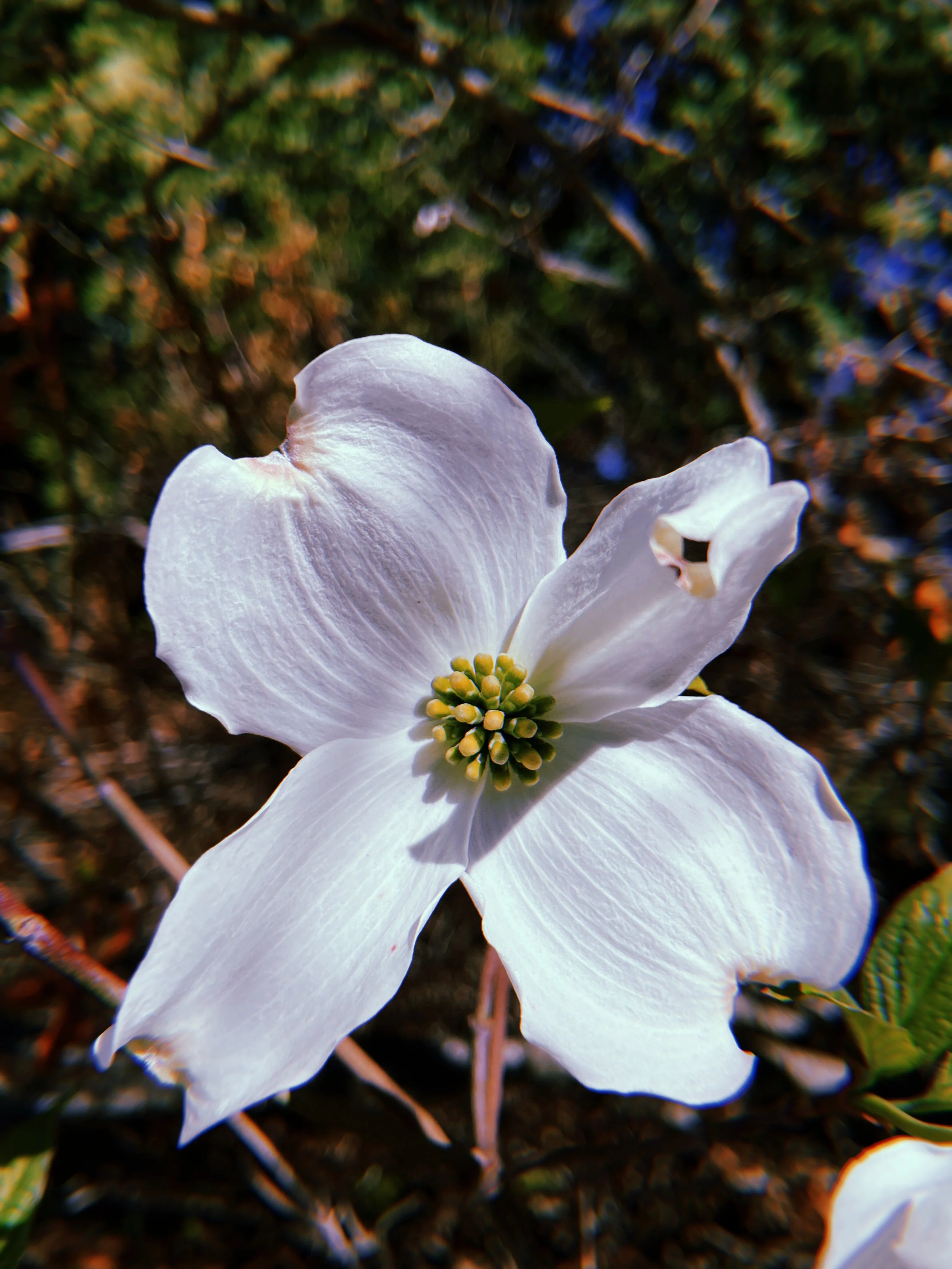 2023-05-06 10:34:39.953.jpeg