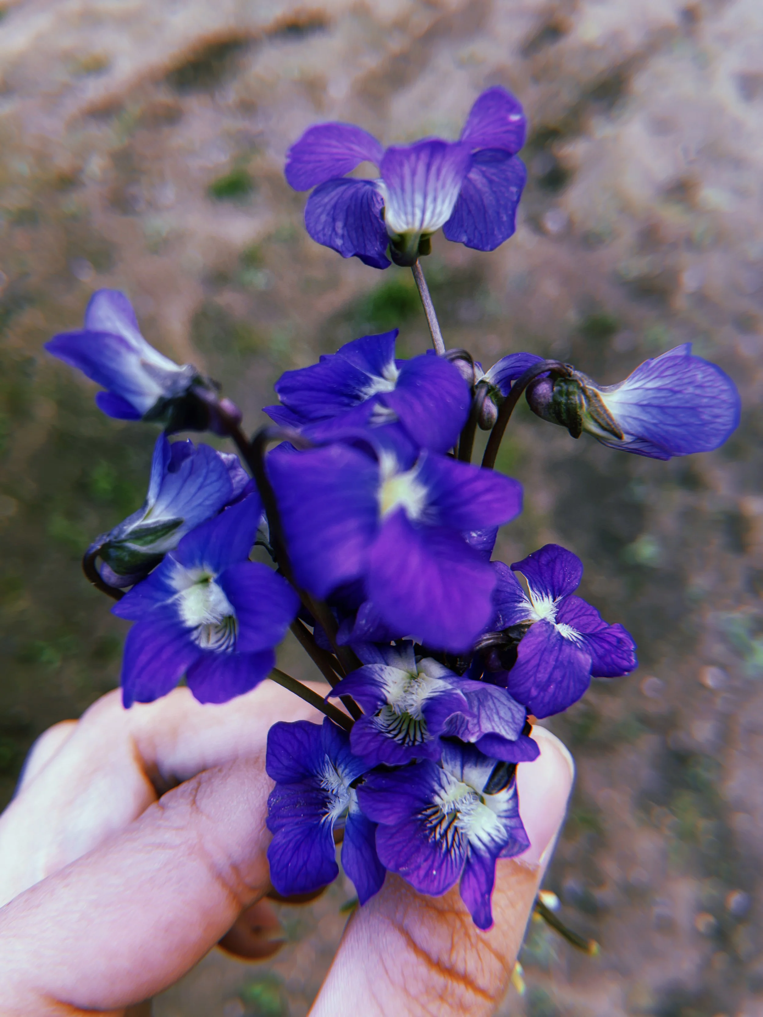 2021-05-01 08:14:24.437.jpeg