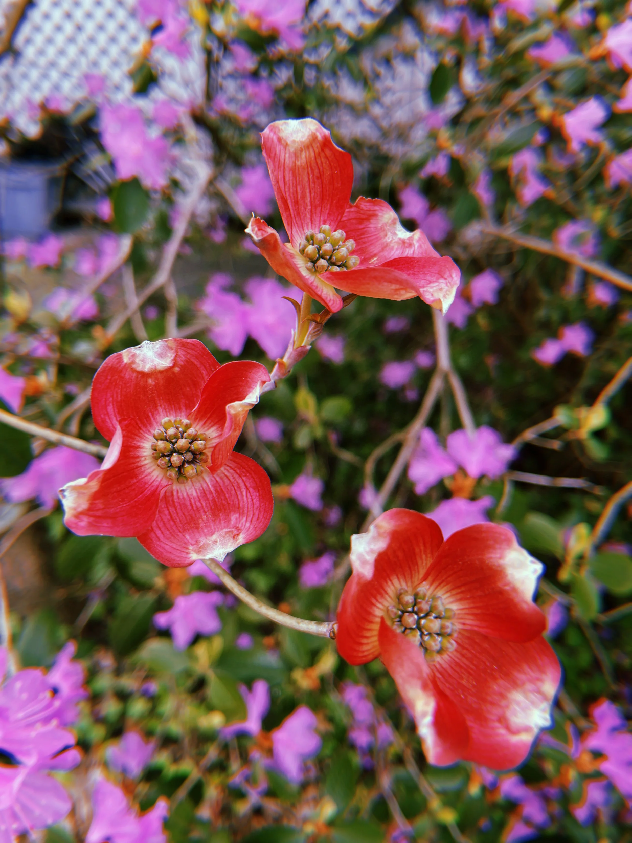 2023-04-28 09:51:18.212.jpeg