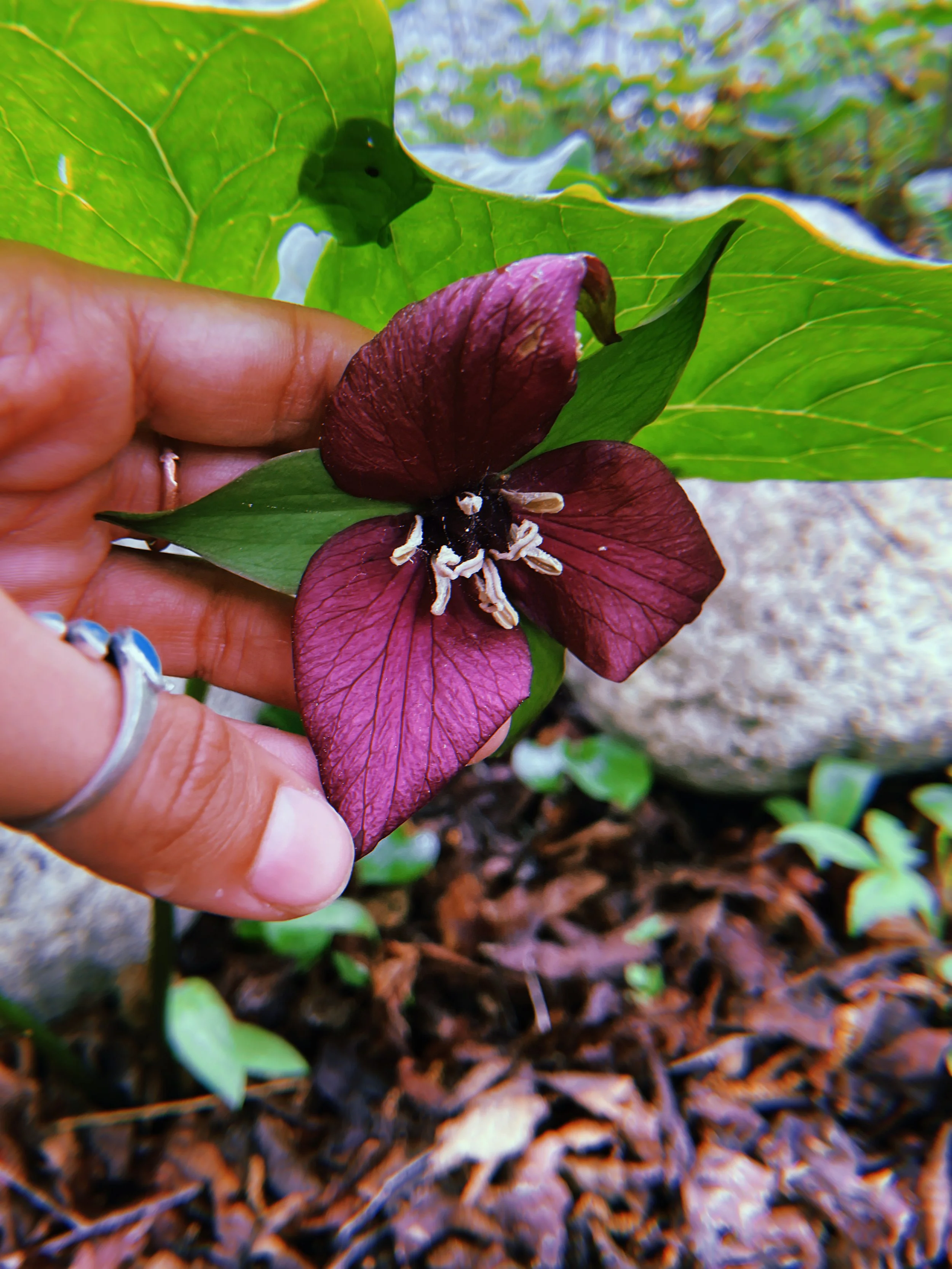 2023-06-02 08:23:06.748.jpeg