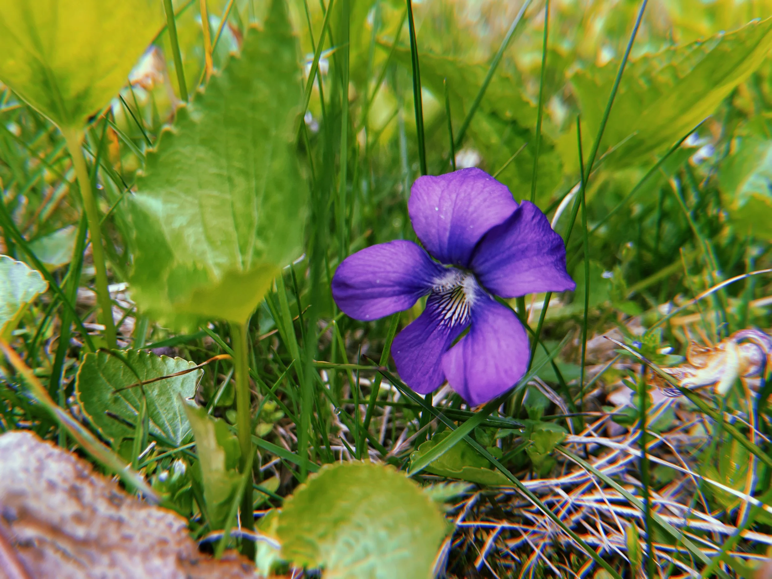 2022-05-13 13:27:21.130.jpeg