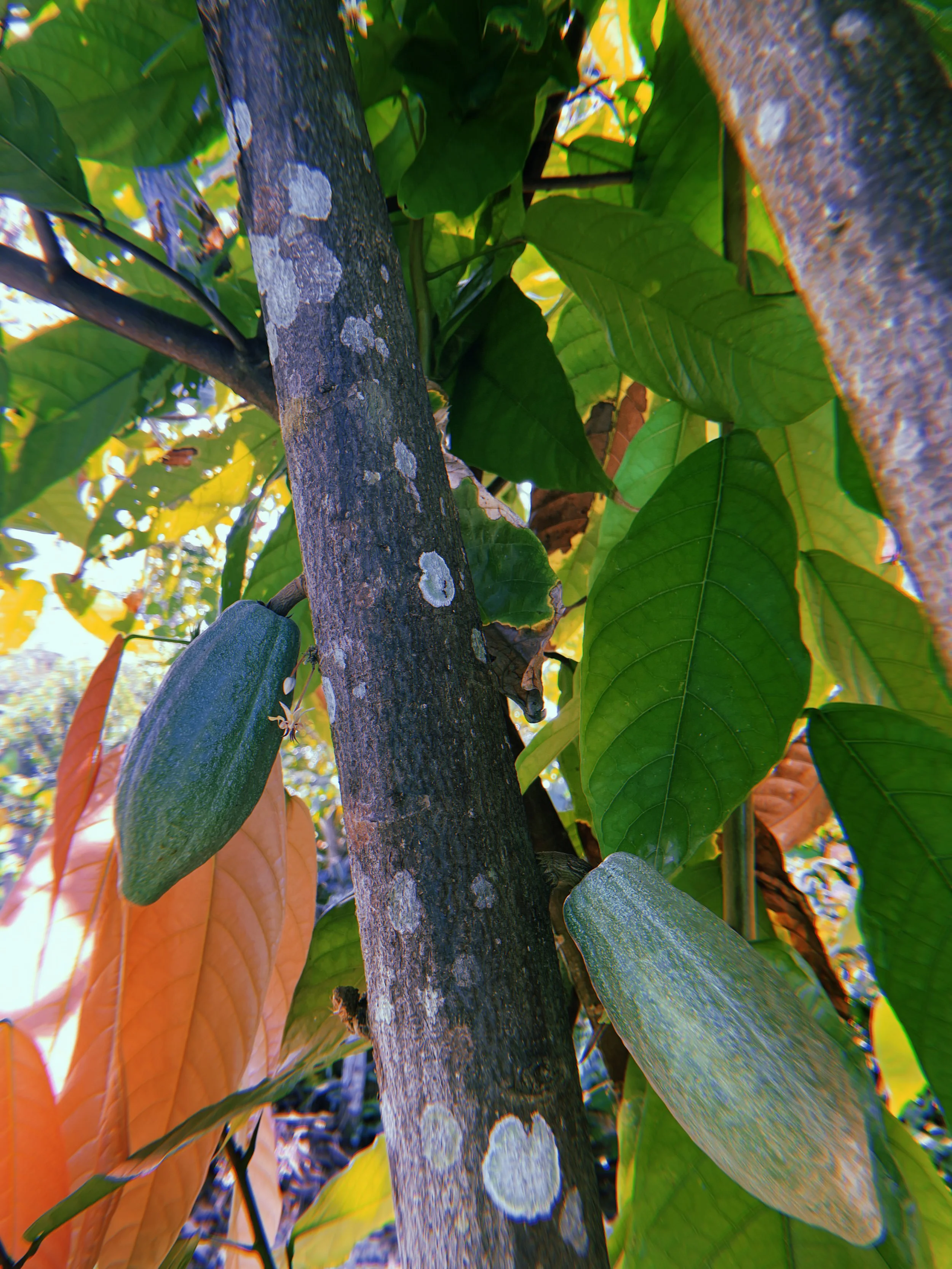 2023-02-23 08:29:07.032.jpeg