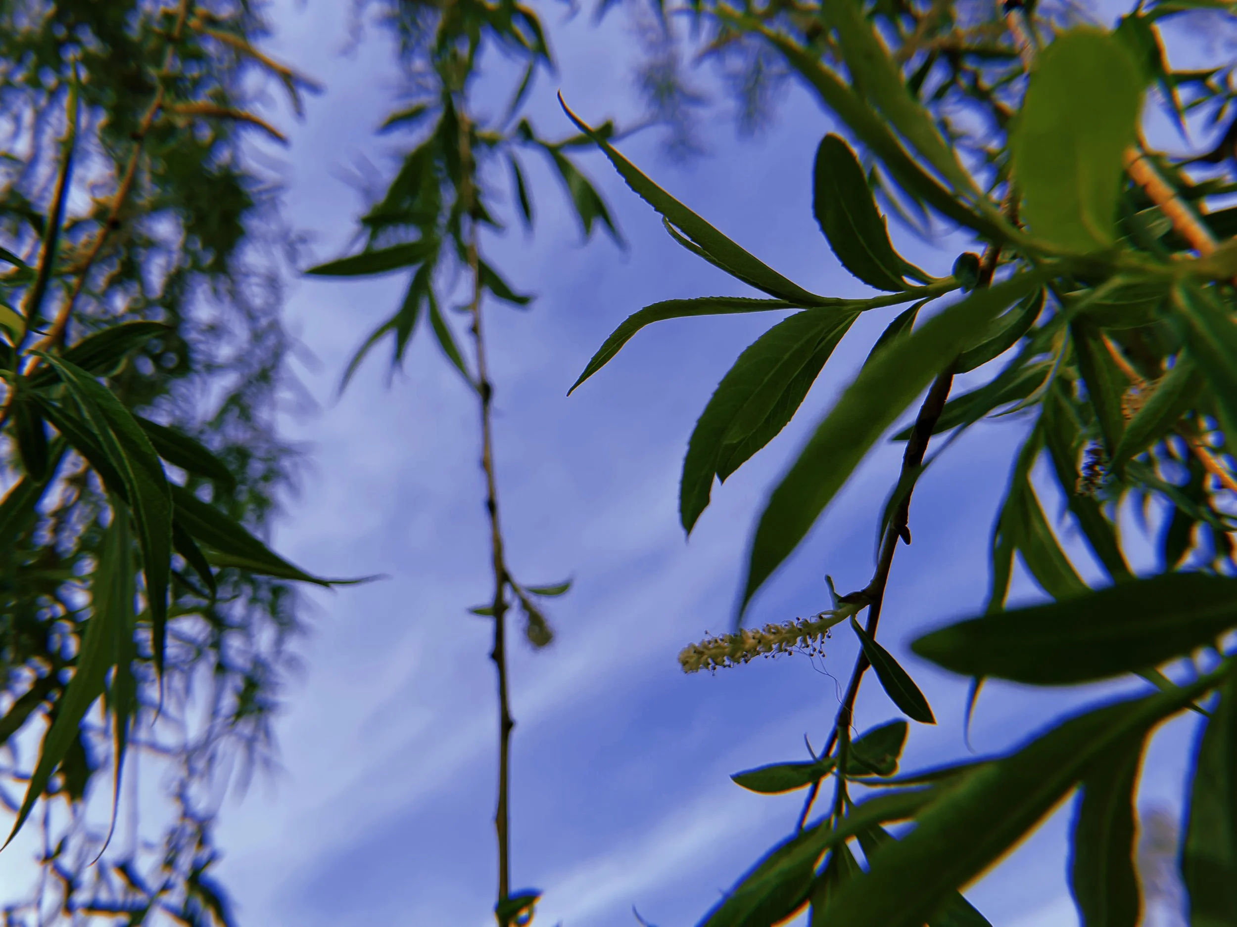 2023-04-28 10:20:25.328.jpeg