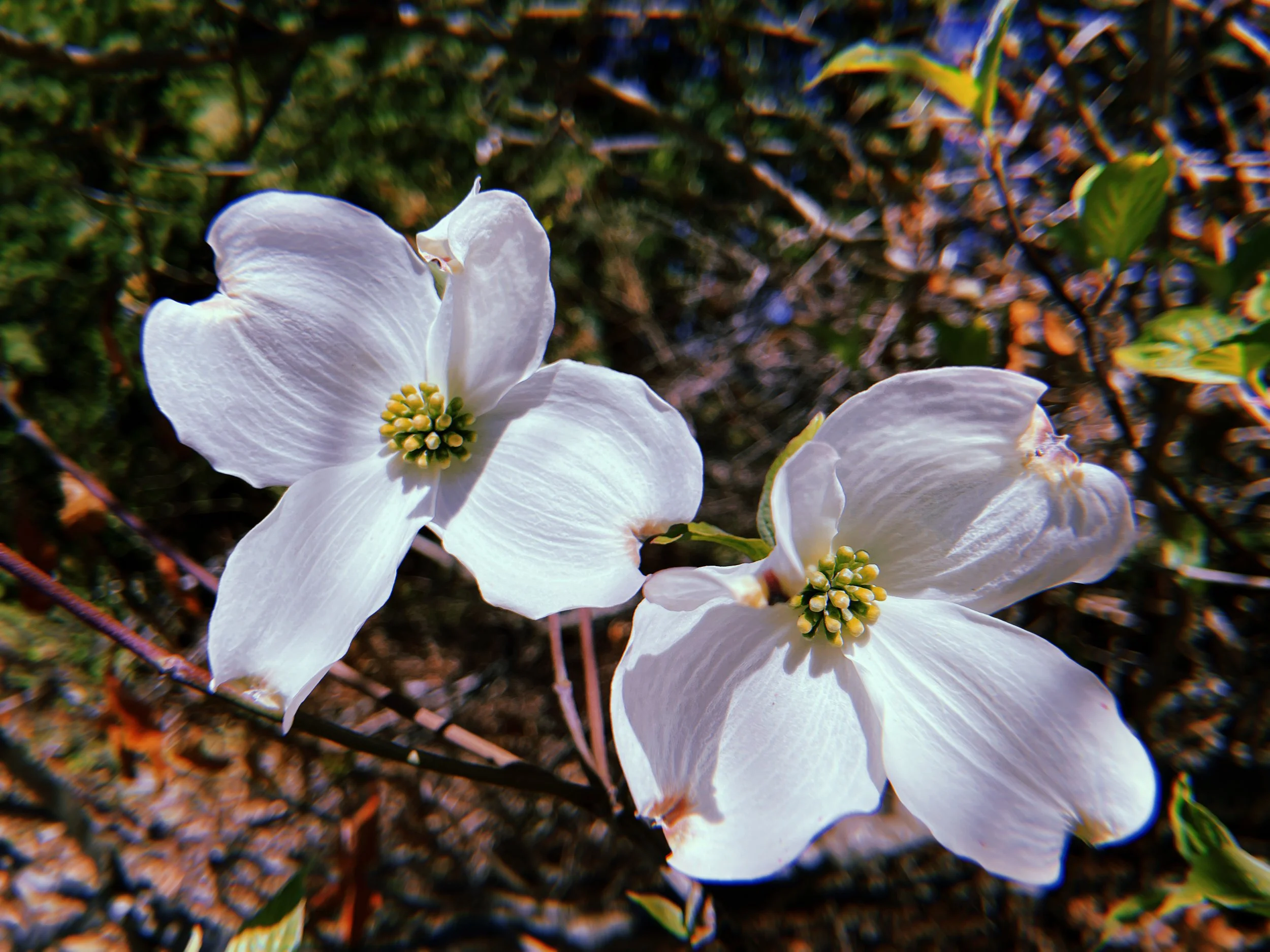 2023-05-06 10:34:51.848.jpeg