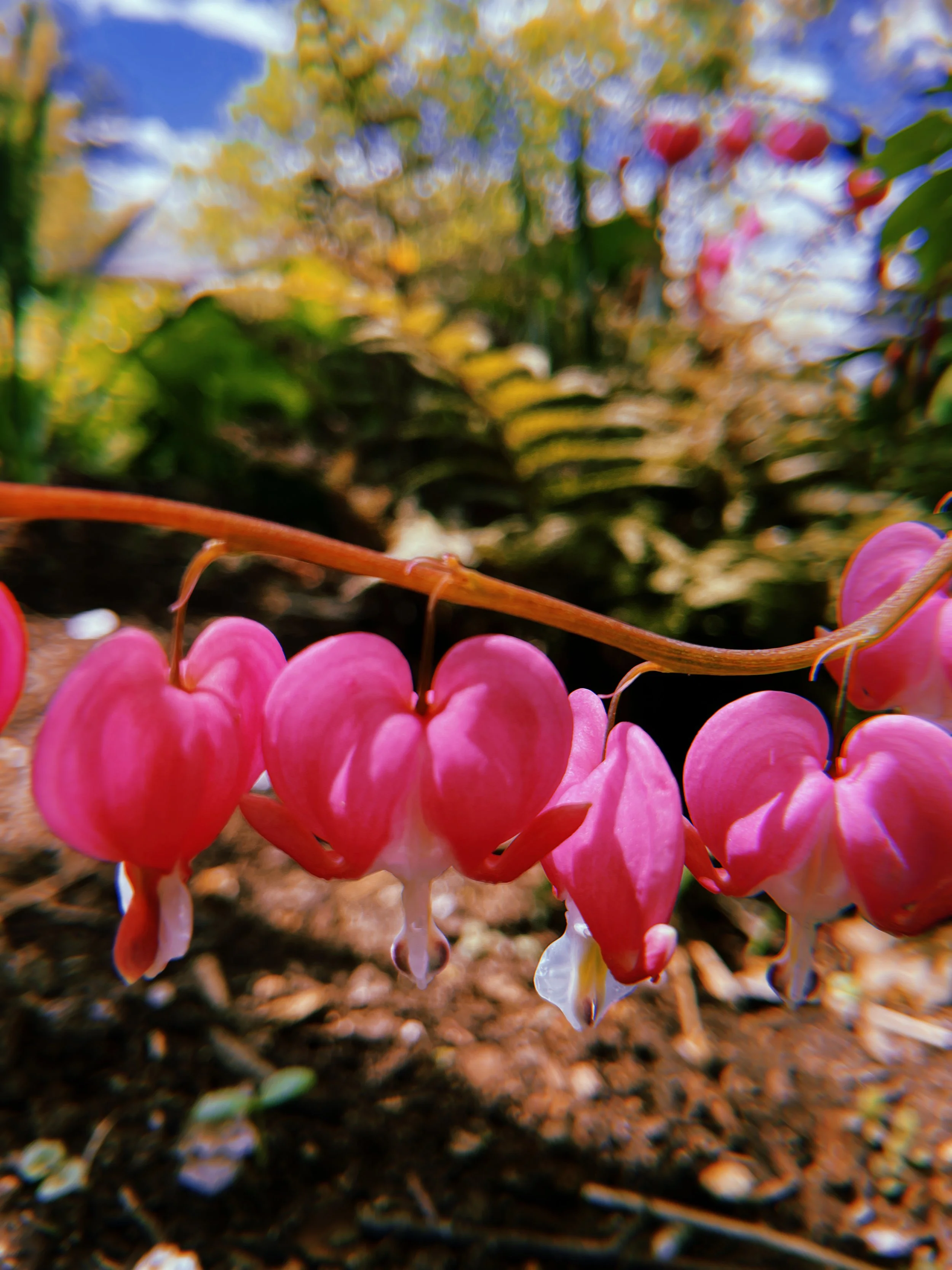 2023-05-06 11:58:15.886.jpeg