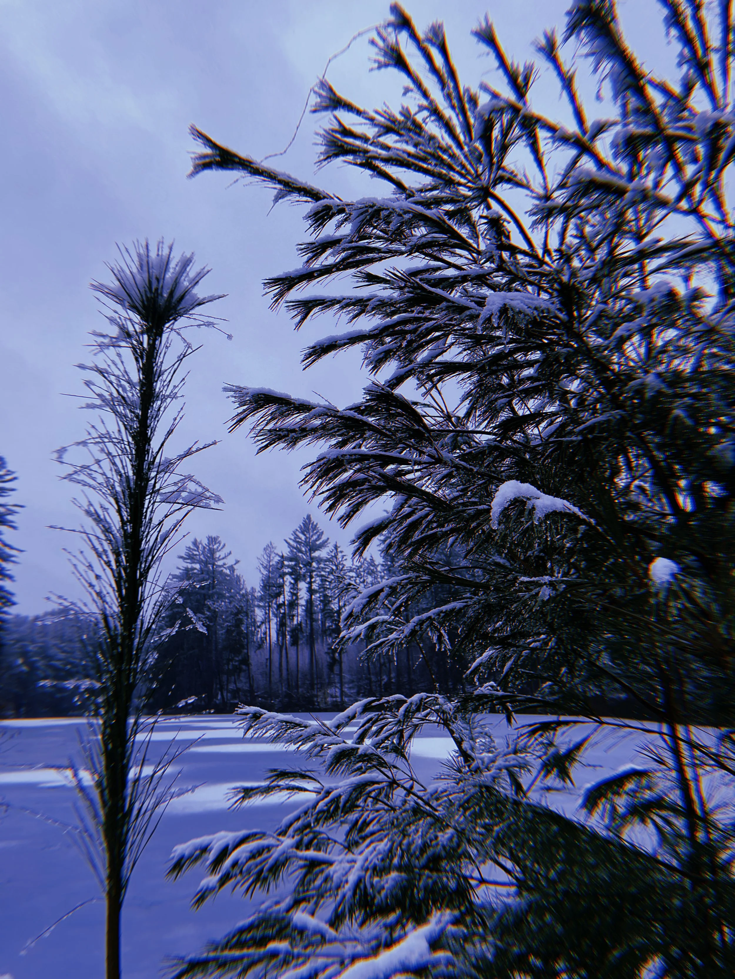 2022-03-09 17:46:36.631.jpeg