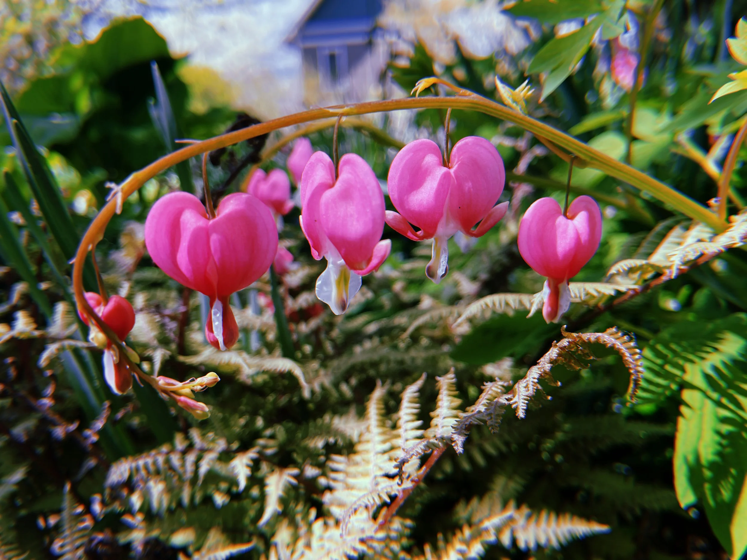 2023-05-06 11:57:03.412.jpeg