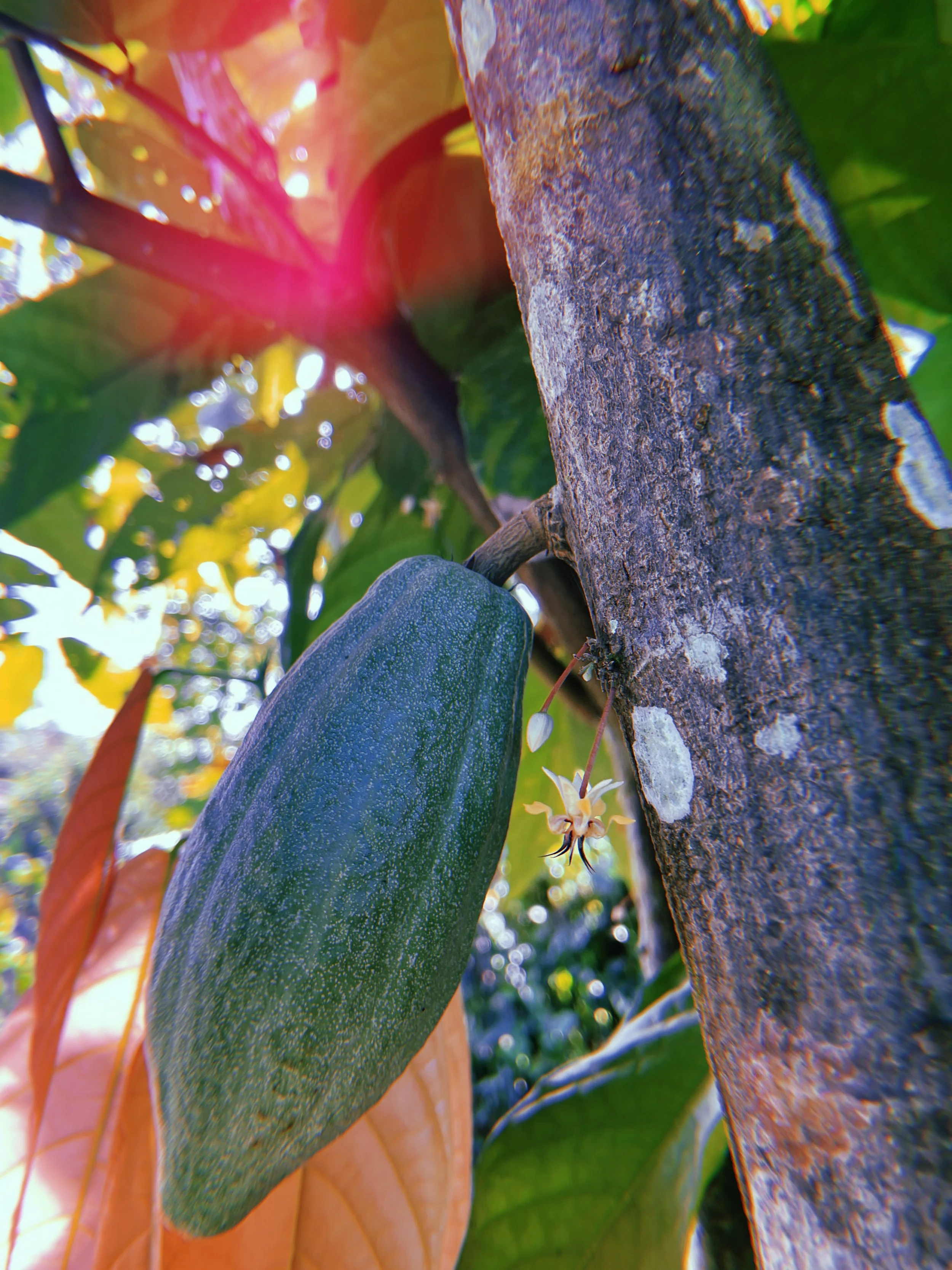 2023-02-23 08:29:11.673.jpeg