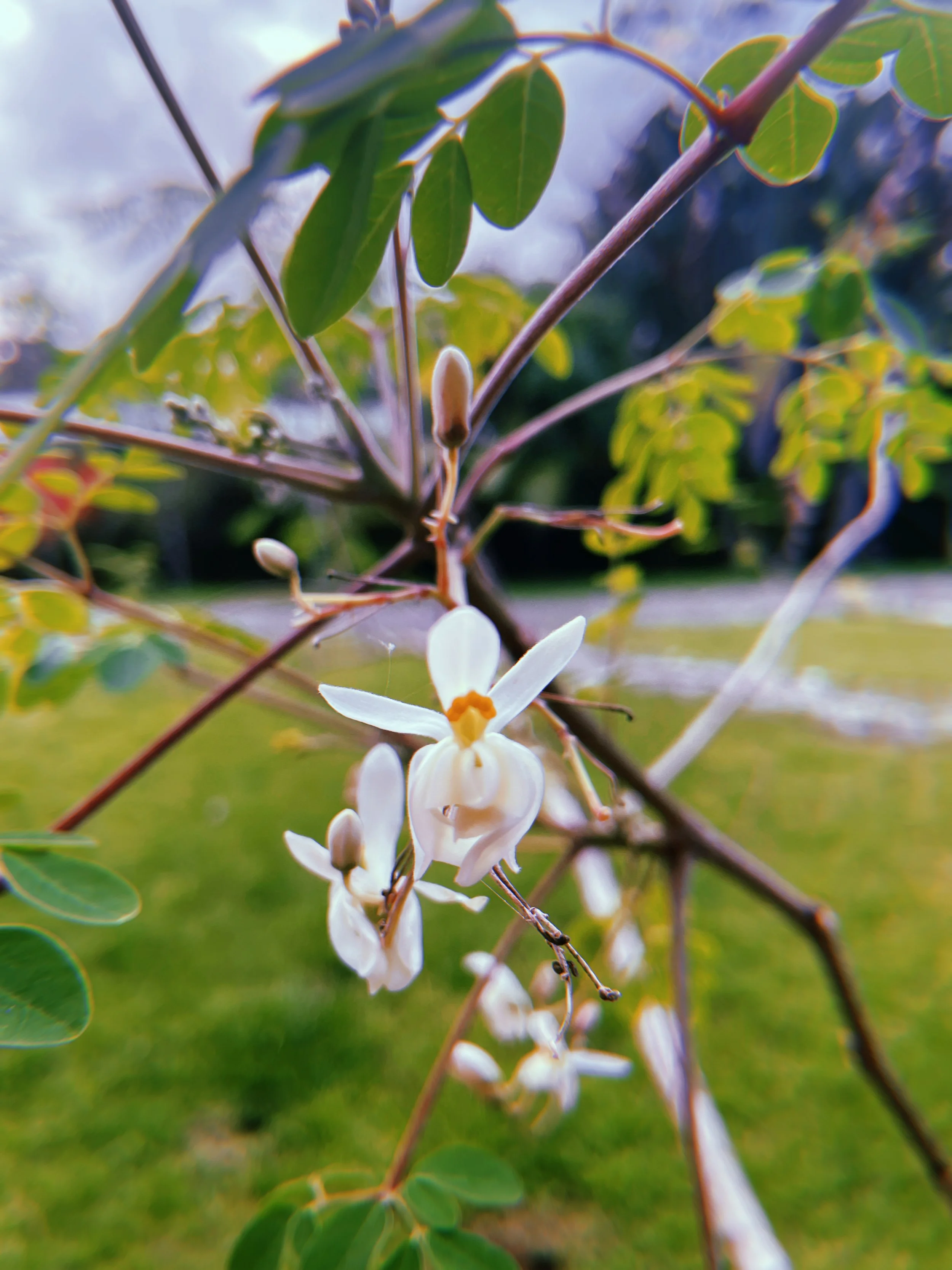 2023-02-23 15:58:15.219.jpeg