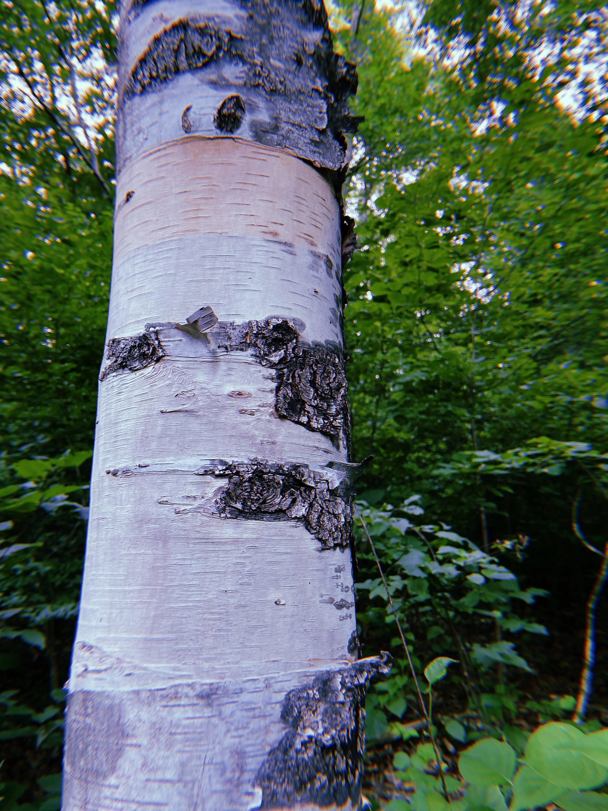 2022-07-10 19:20:50.484.jpeg