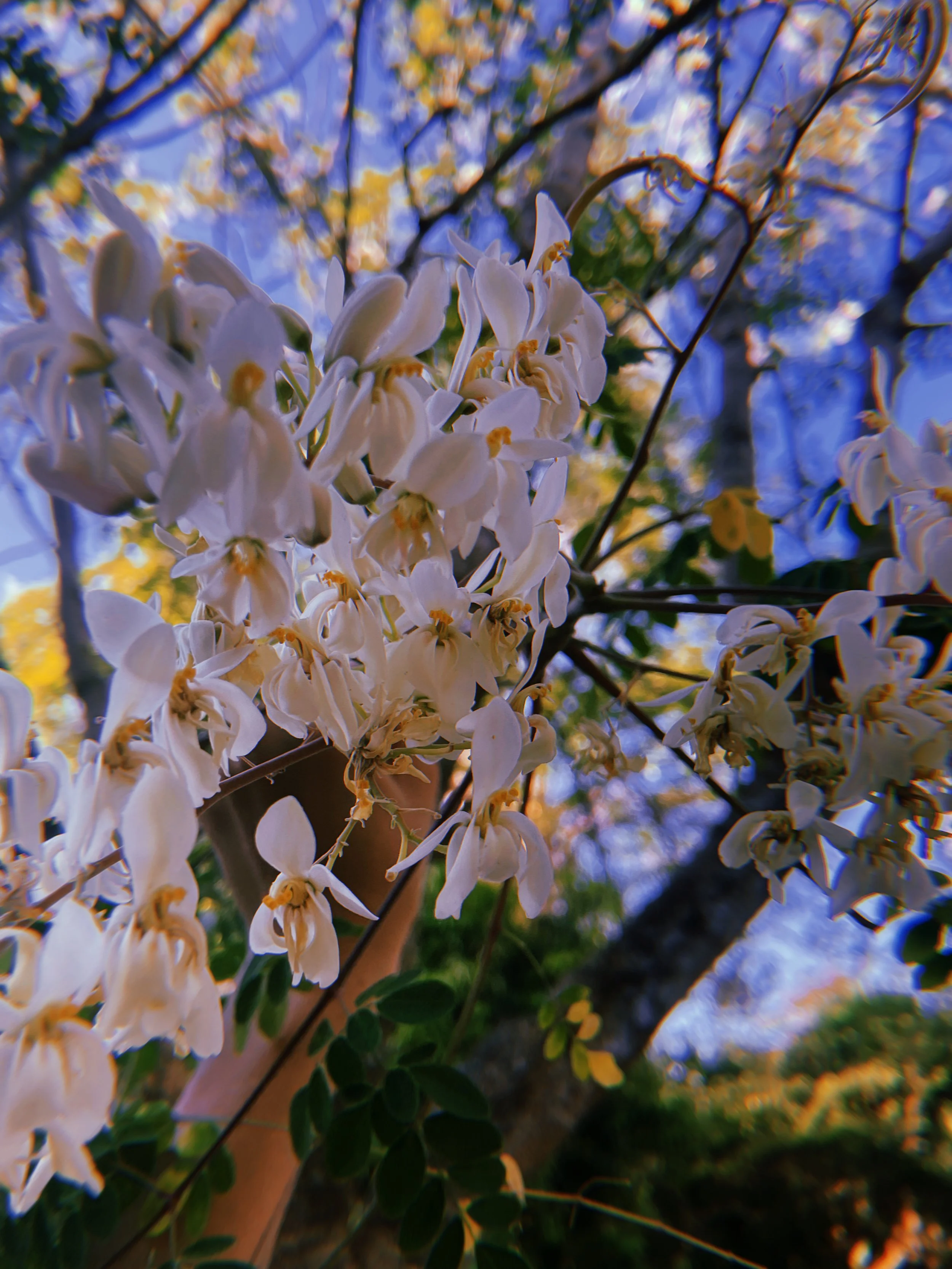 2024-03-04 07:04:39.481.jpeg