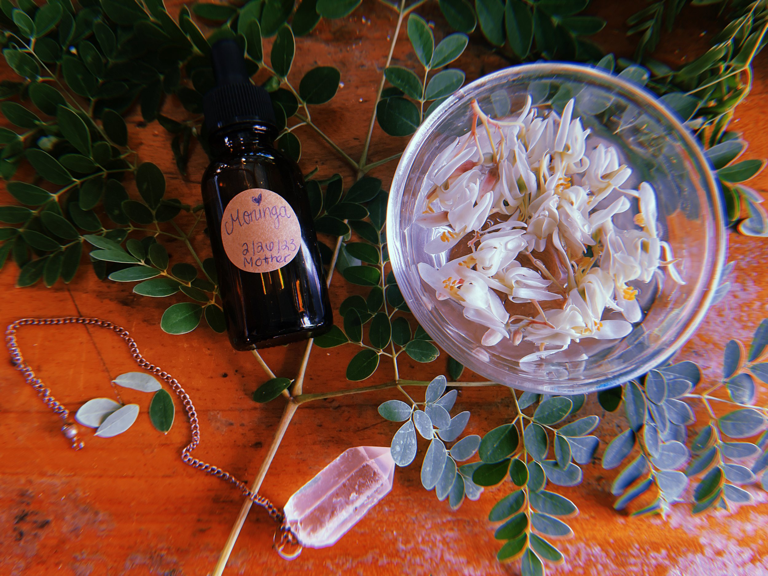 2023-02-26 16:25:44.300.jpeg