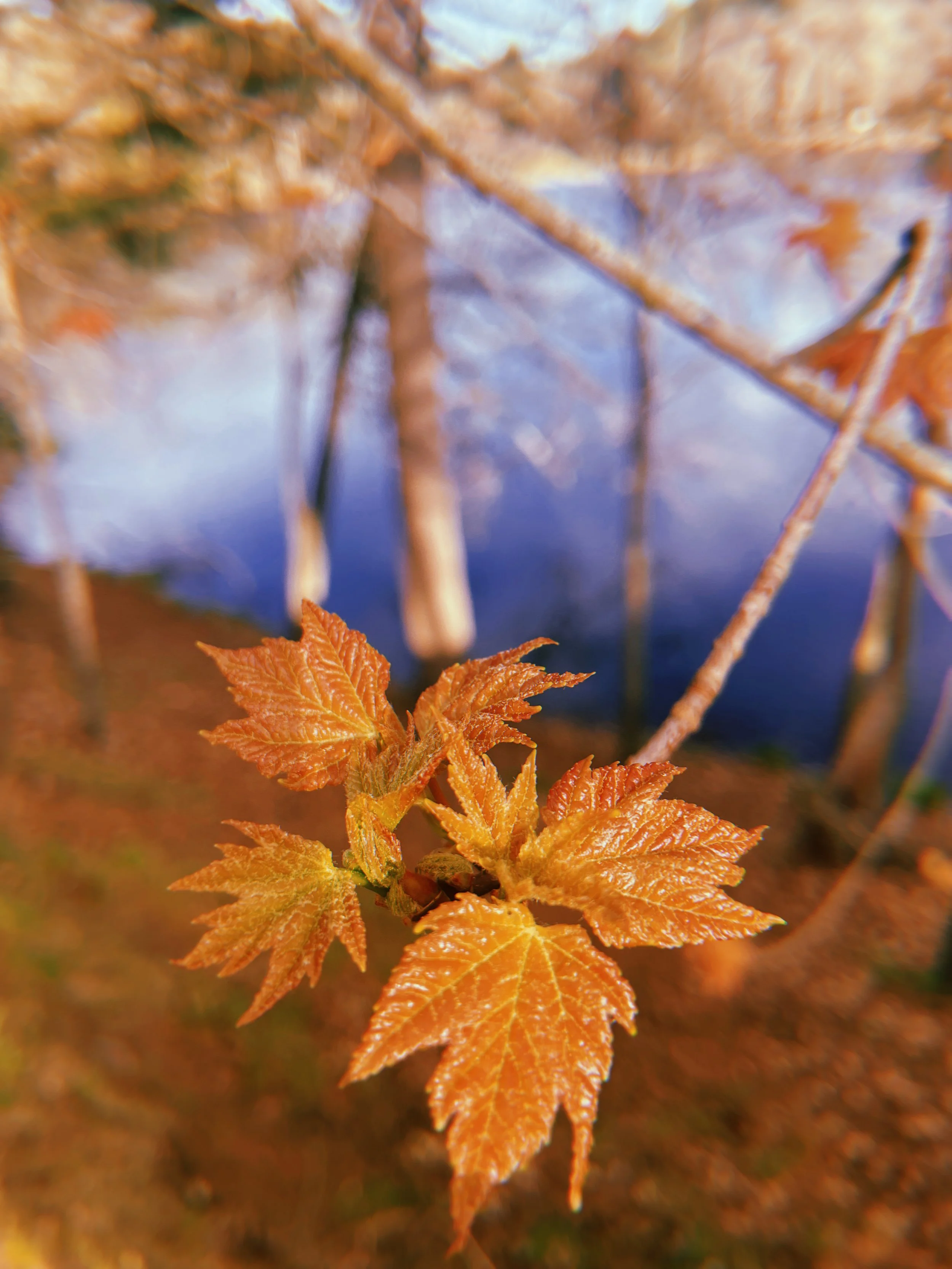 2024-04-23 18:06:57.891.jpeg