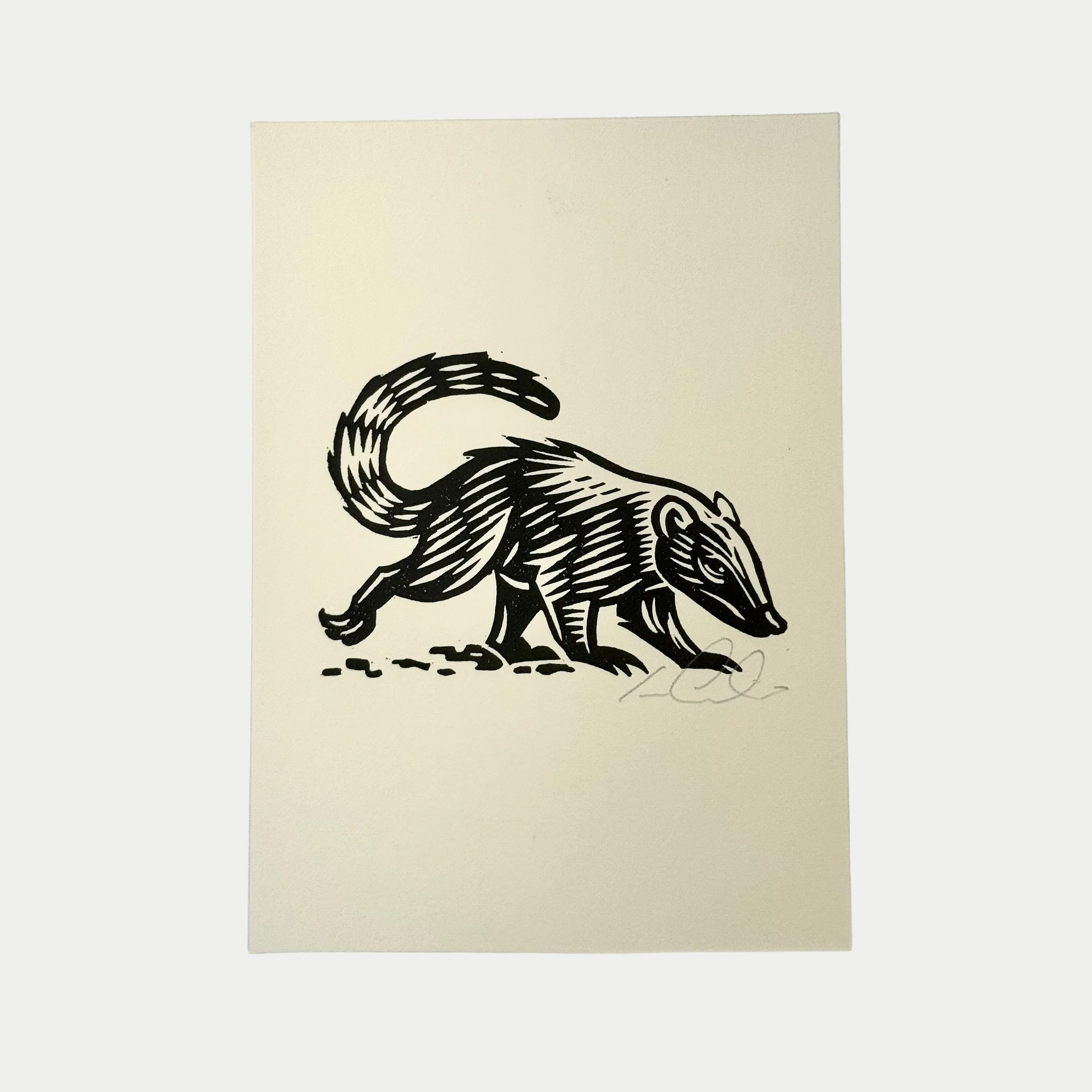 Black ink drawing of a stream-lined animal with a long tail, four legs, a pointed snout, and a curled tail, walking on a plain background.