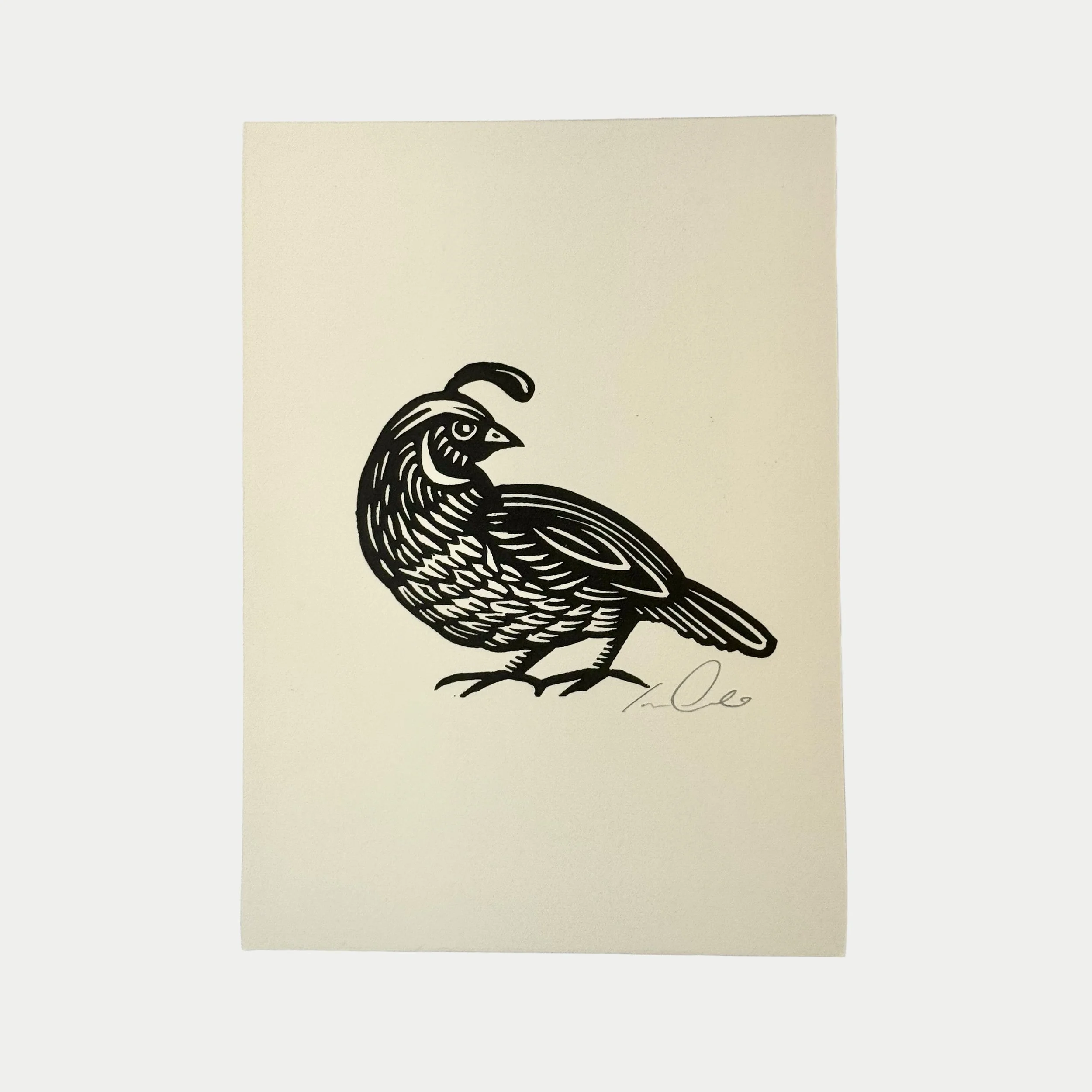 Black and white drawing of a turkey on white paper, signature below.