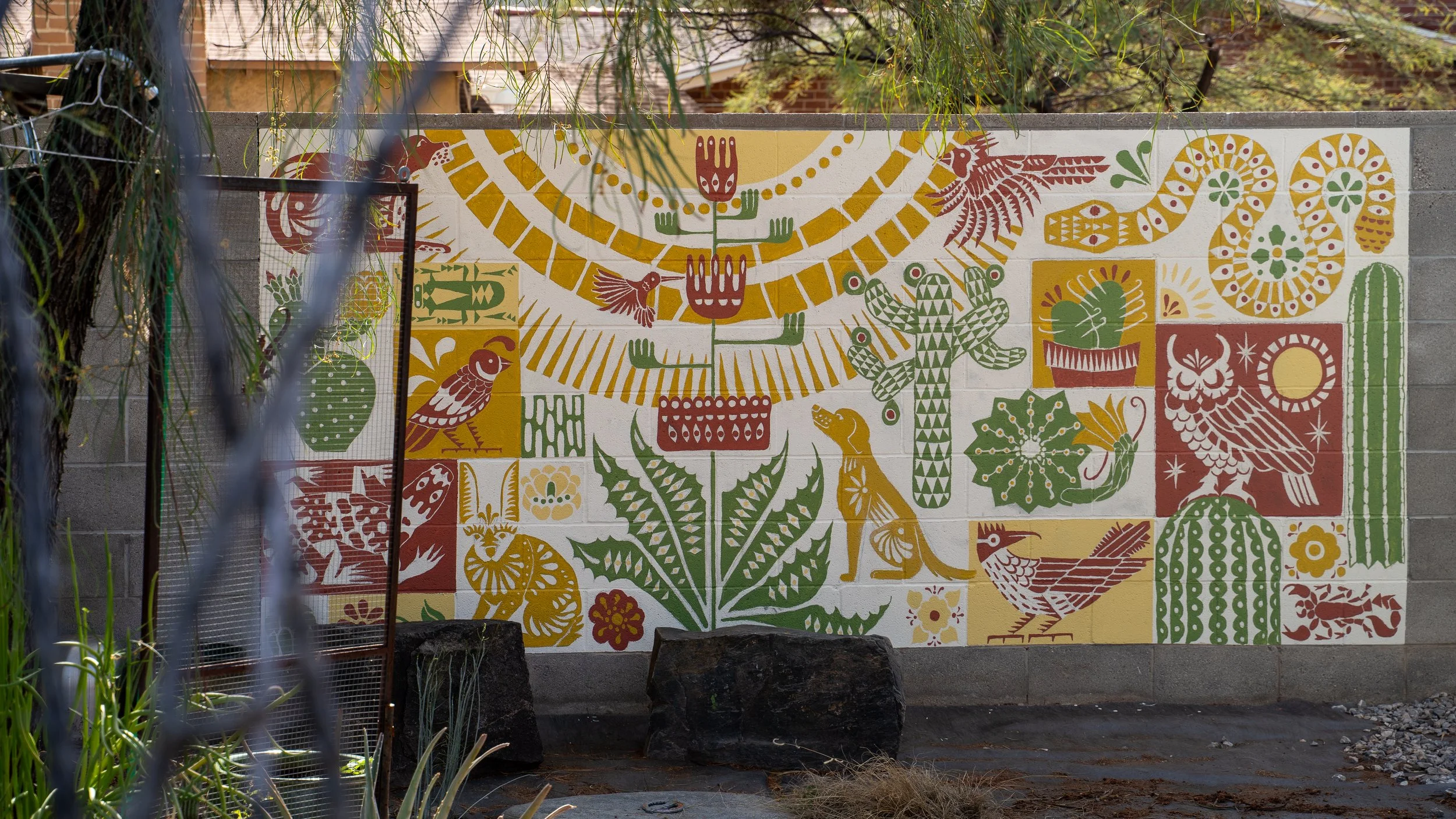 Under the Sonoran Sun