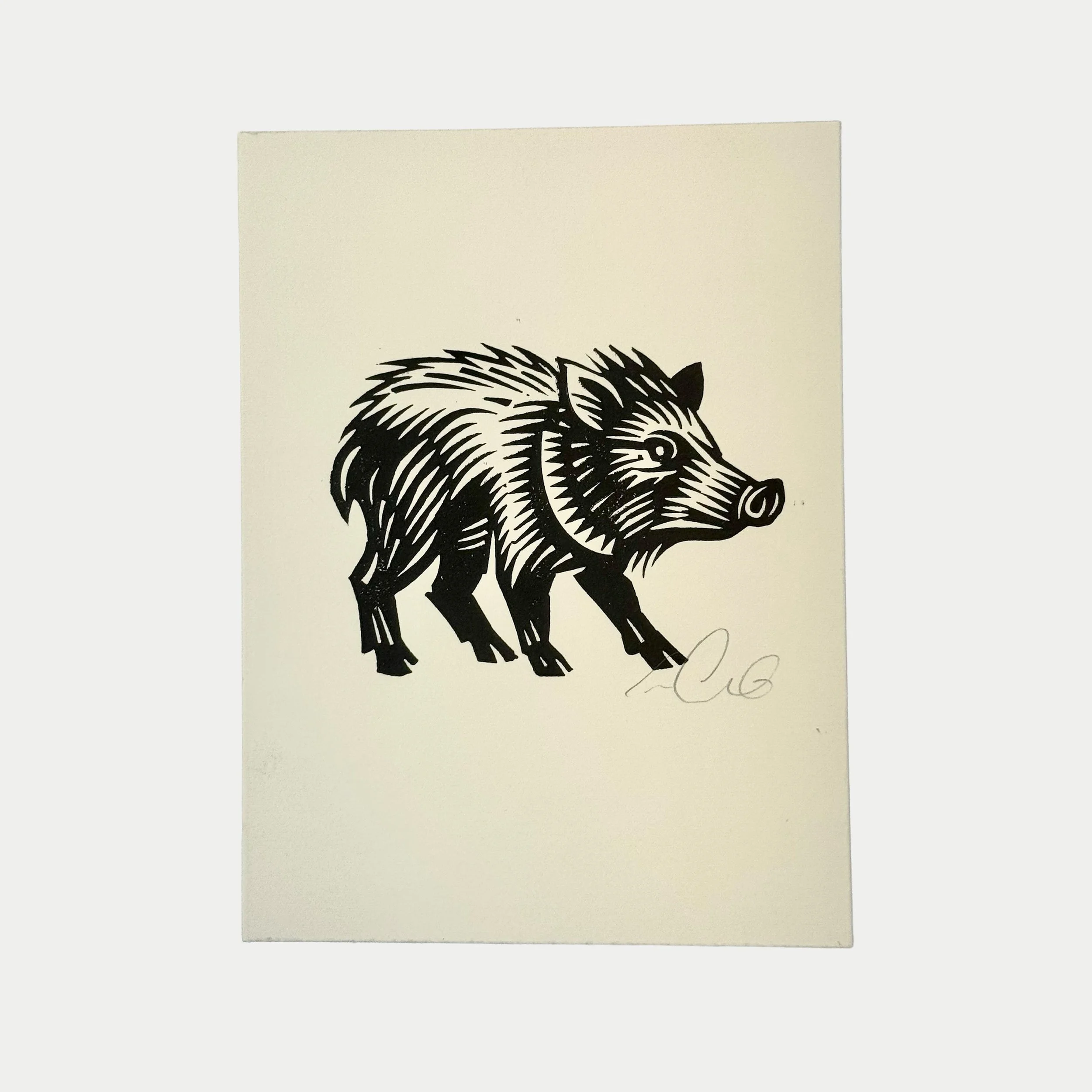Black and white drawing of a wild boar on white paper