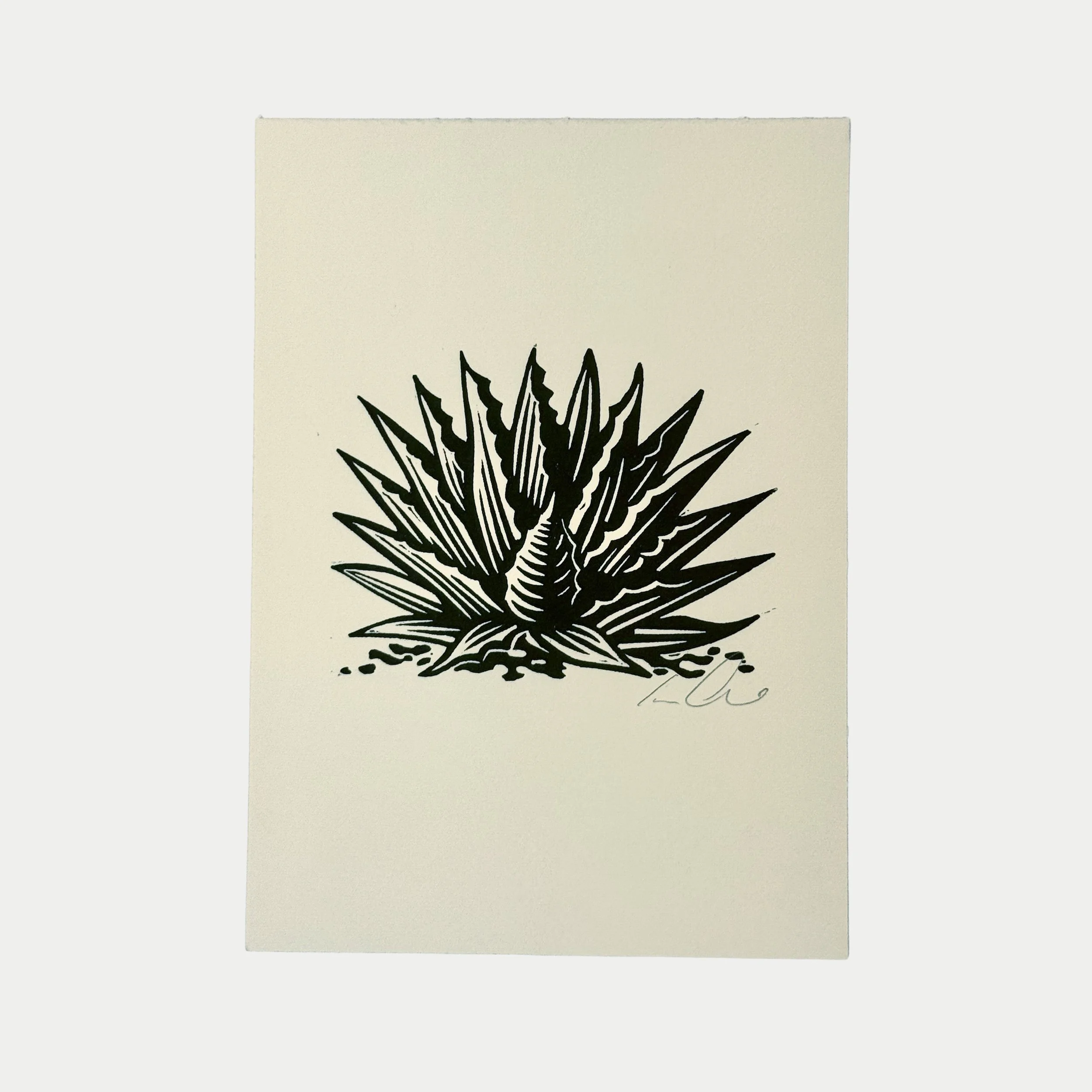 Black and white illustration of a stylized agave plant on a white background, with a signature at the bottom right corner.