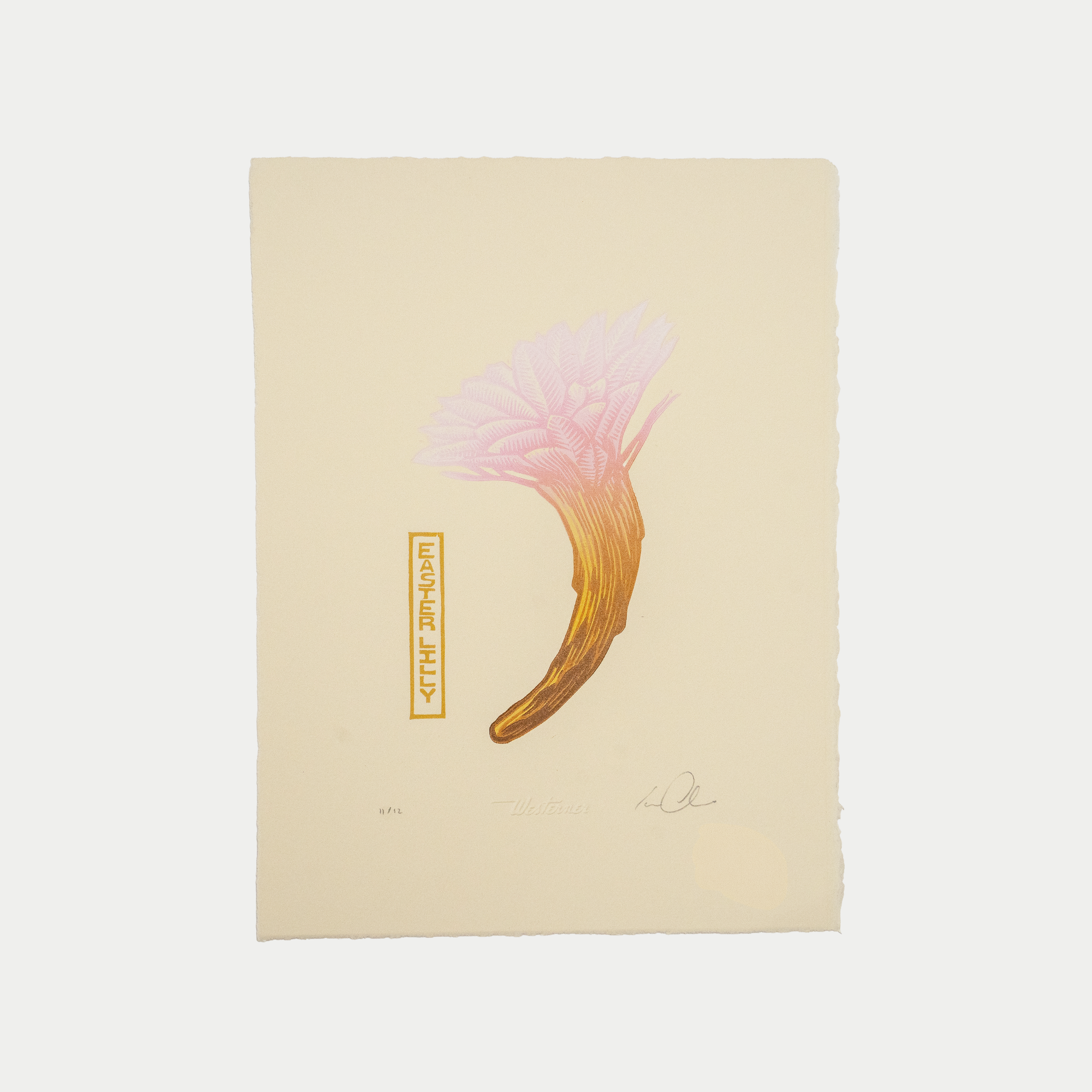 Easter Lilly