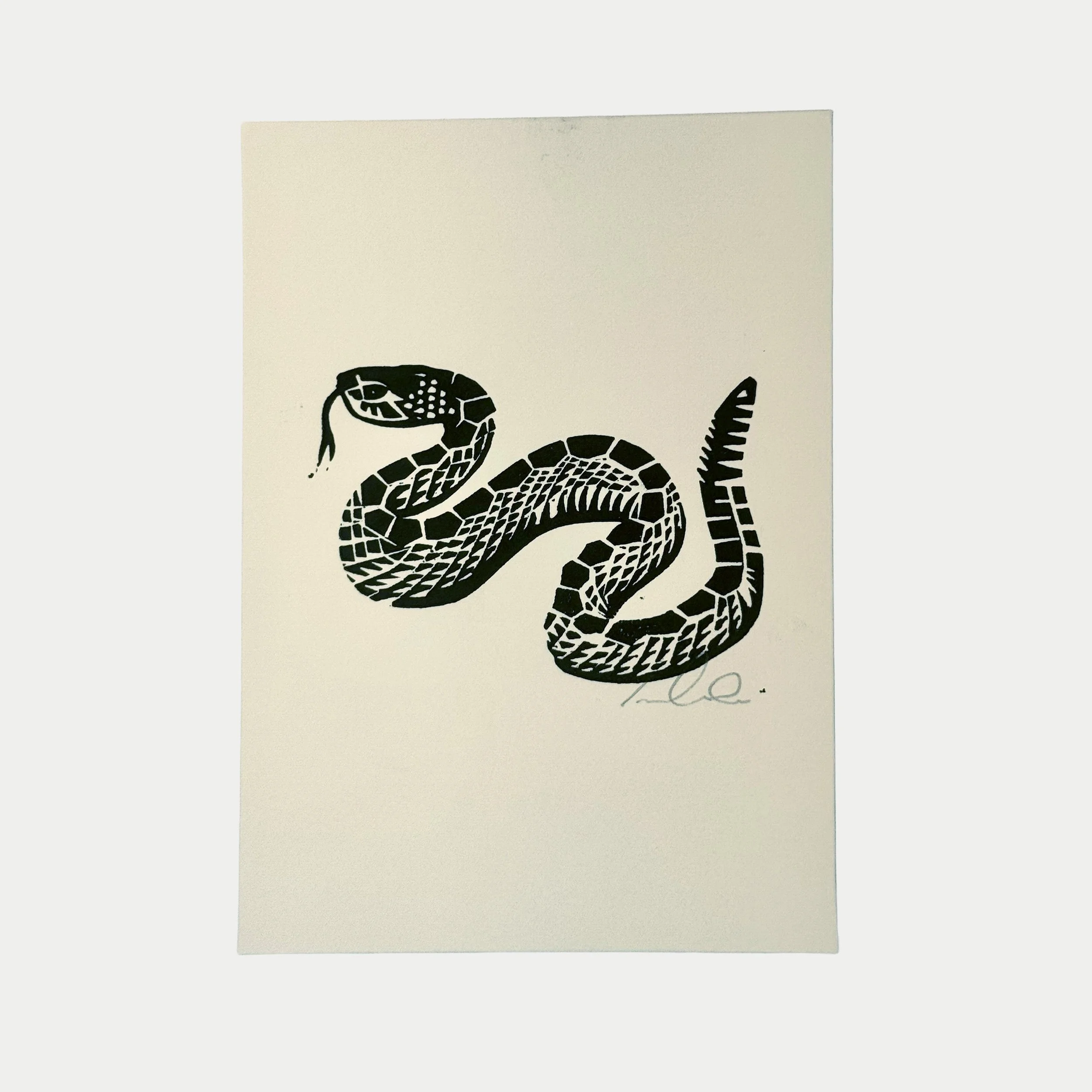 Black snake illustration on white paper. The snake is coiled with its head raised and tongue out, featuring detailed scales.