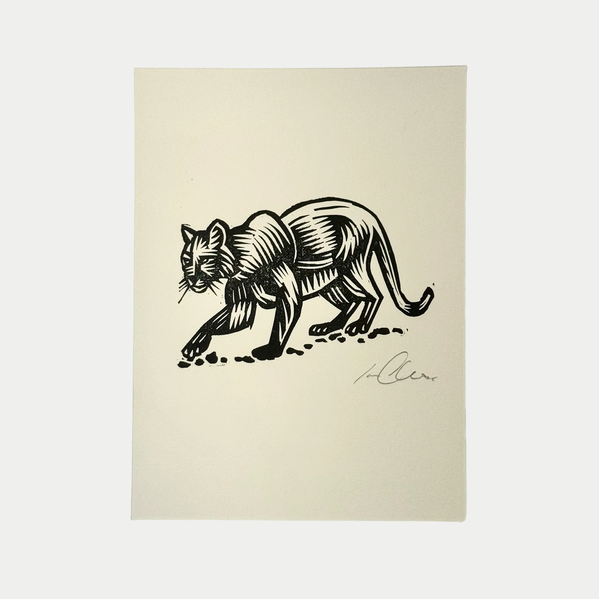Line drawing of a walking tiger on white paper with a signature at the bottom right corner.