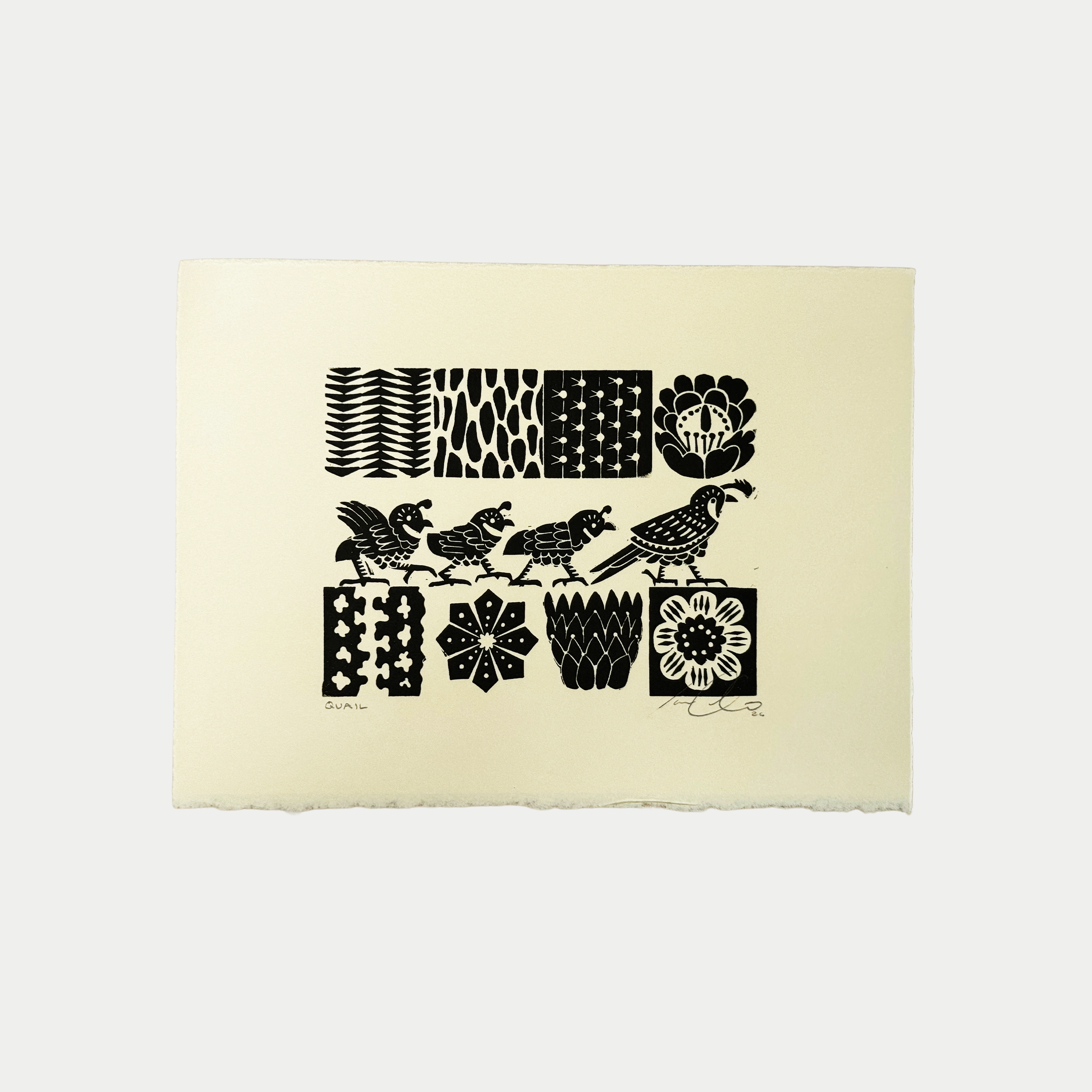 Westerner_0000s_0006_Westerner Studio Scandi Mid Mod Prints-Quail.png