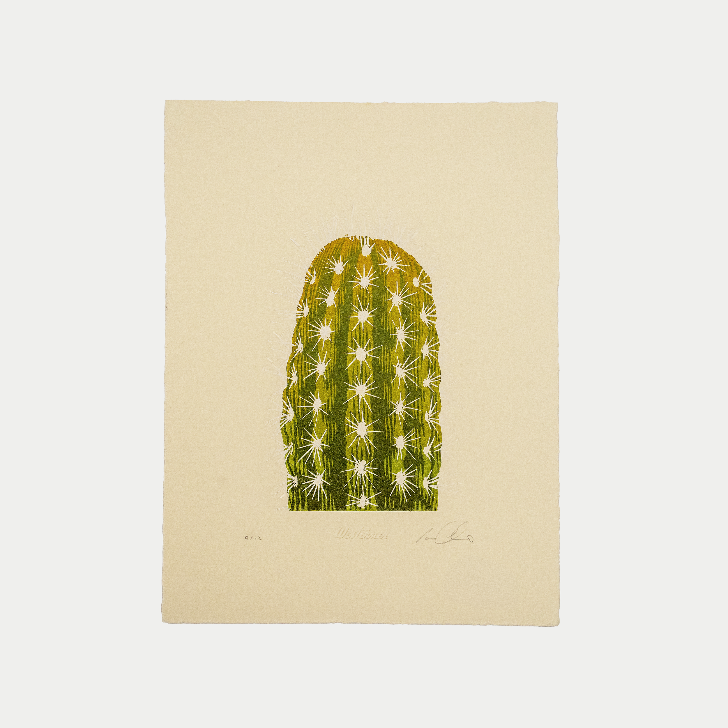 Cactus