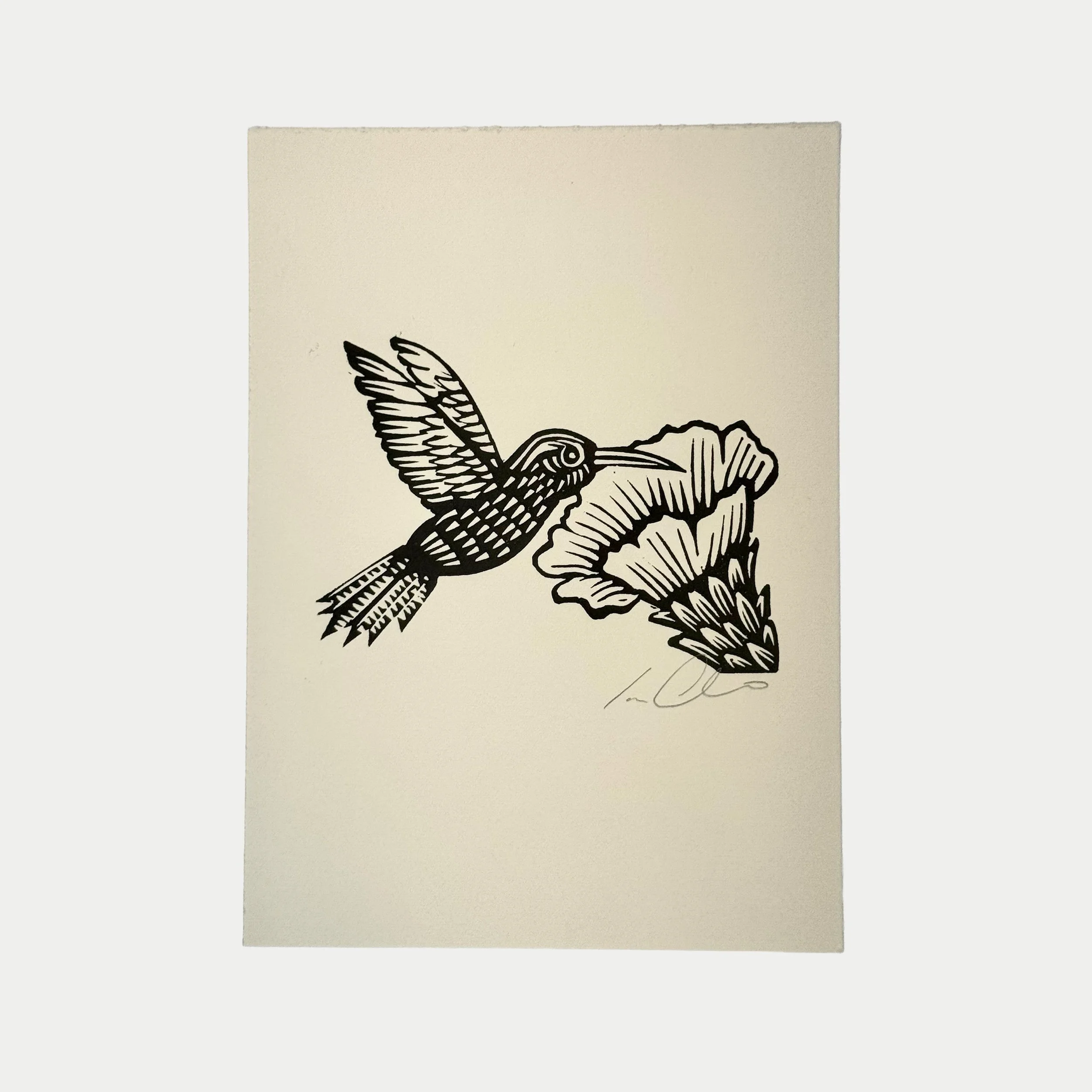 Black ink drawing of a hummingbird flying towards a blooming flower on a piece of paper.