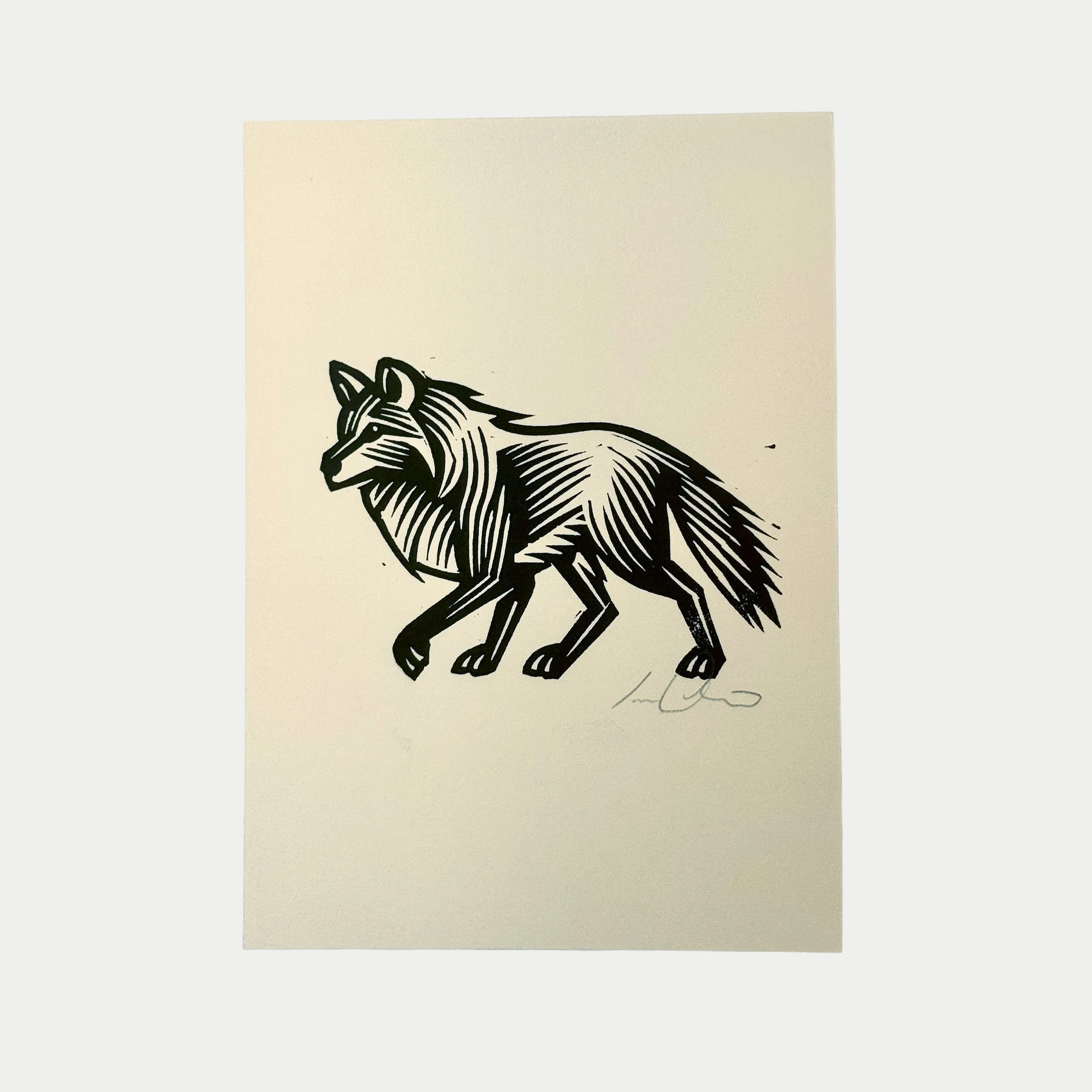 Black and white drawing of a wolf walking, with detailed fur and muscular structure.