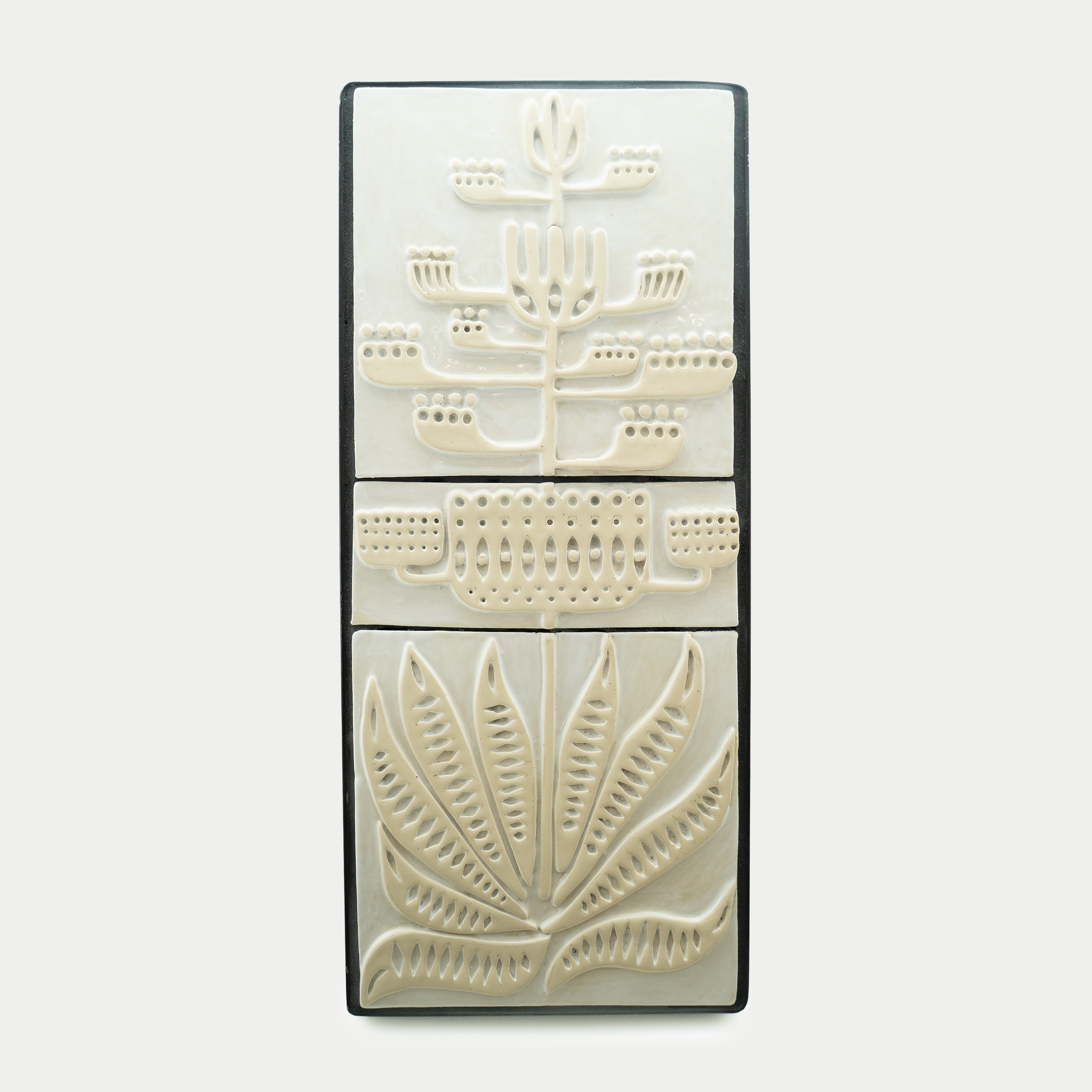 Century Plant Framed