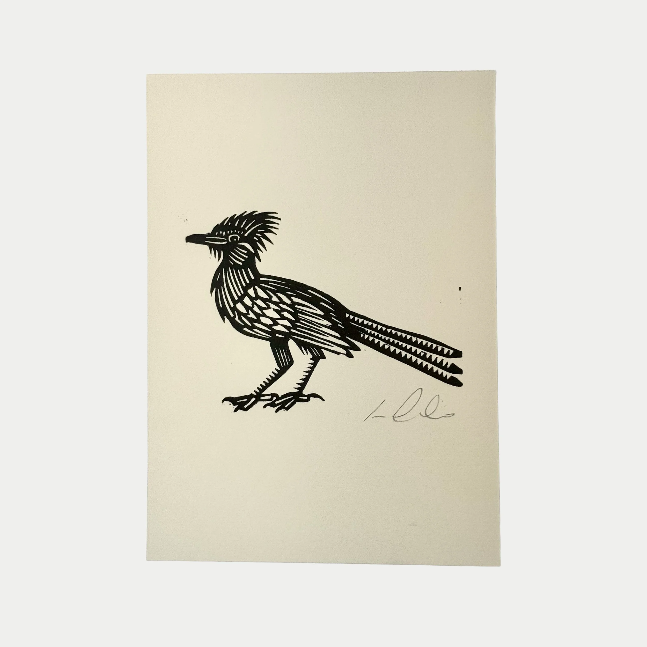 Black and white drawing of a bird with a crest, standing on two legs, with detailed feather patterns and a long tail, signed at the bottom right.