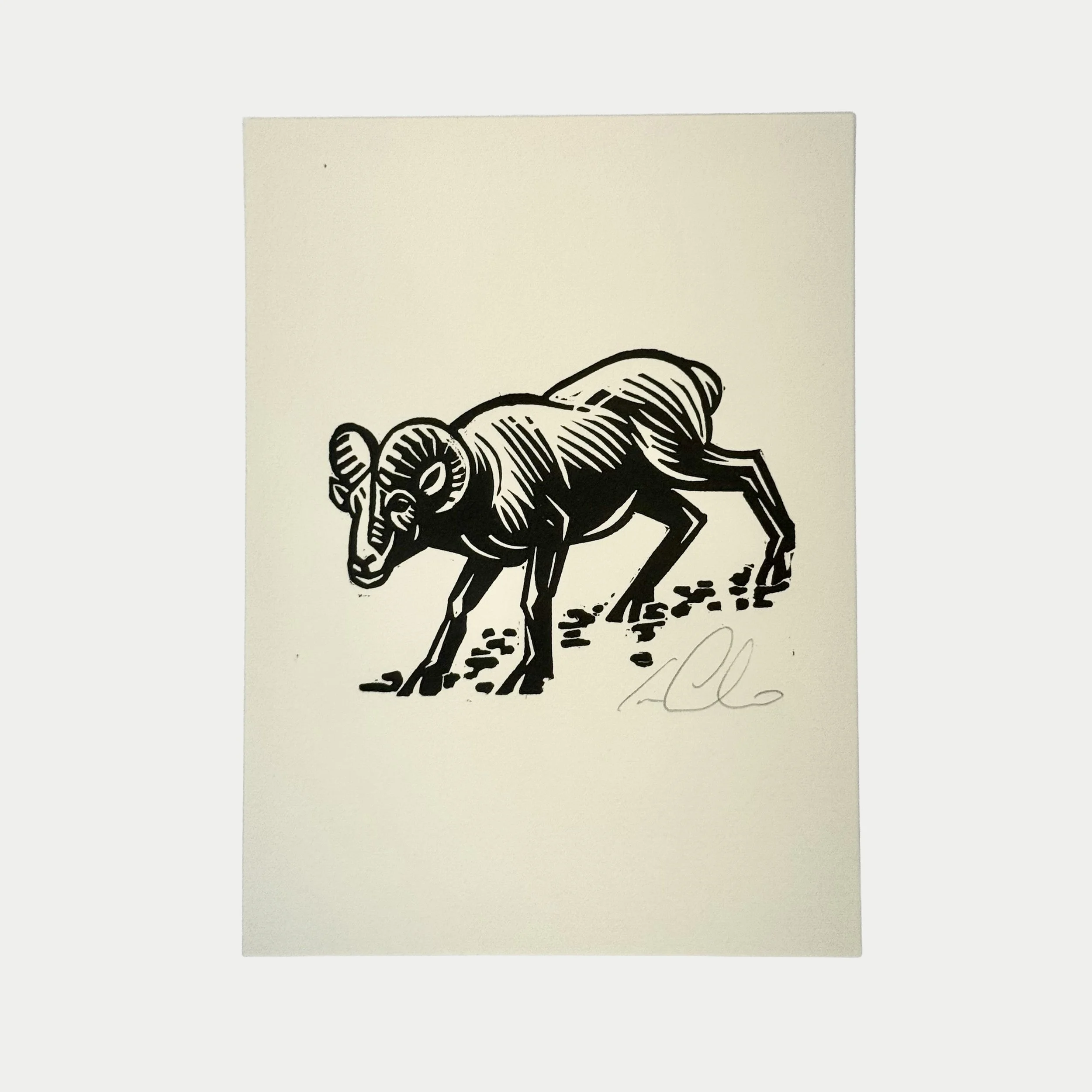 Black and white drawing of an antelope standing on the ground, signed at the bottom right.