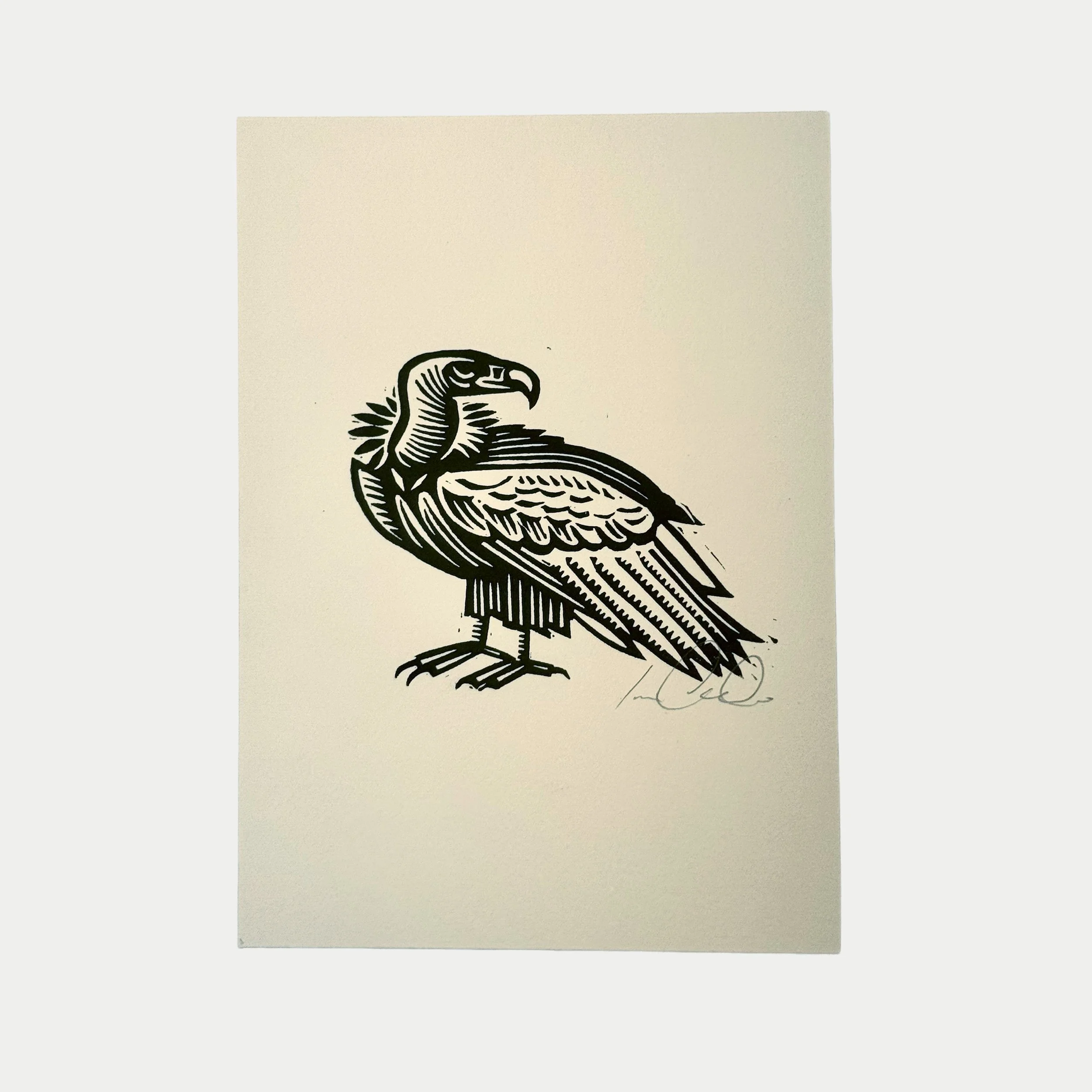 Black ink drawing of a vulture on white paper.