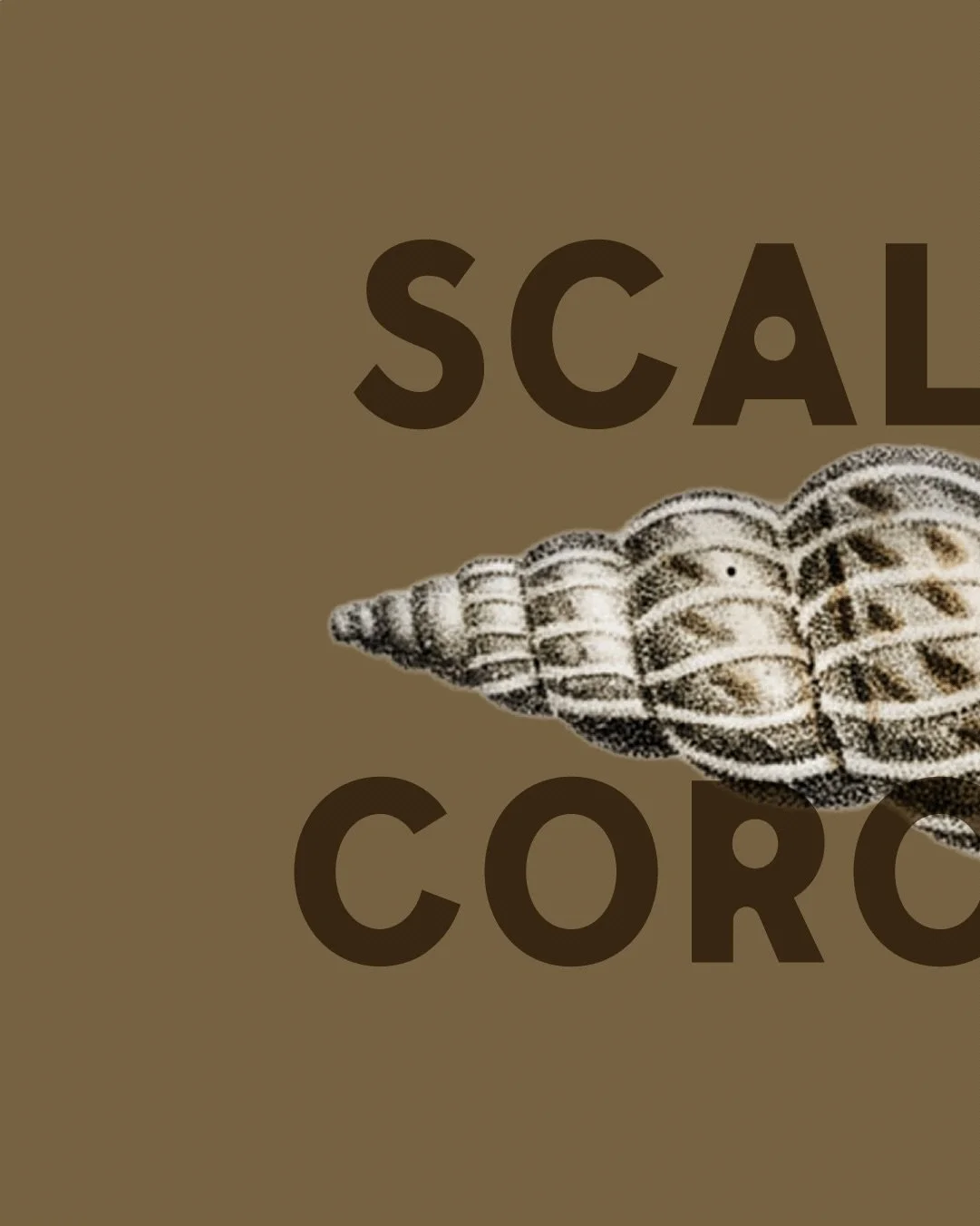 👀 New font drops this Monday 12/1!