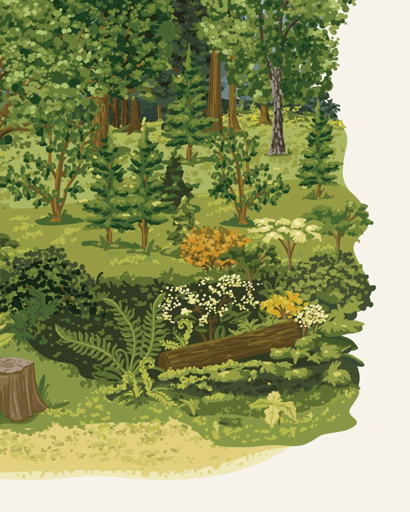 Sneak peek WIP 🌳👀🌲