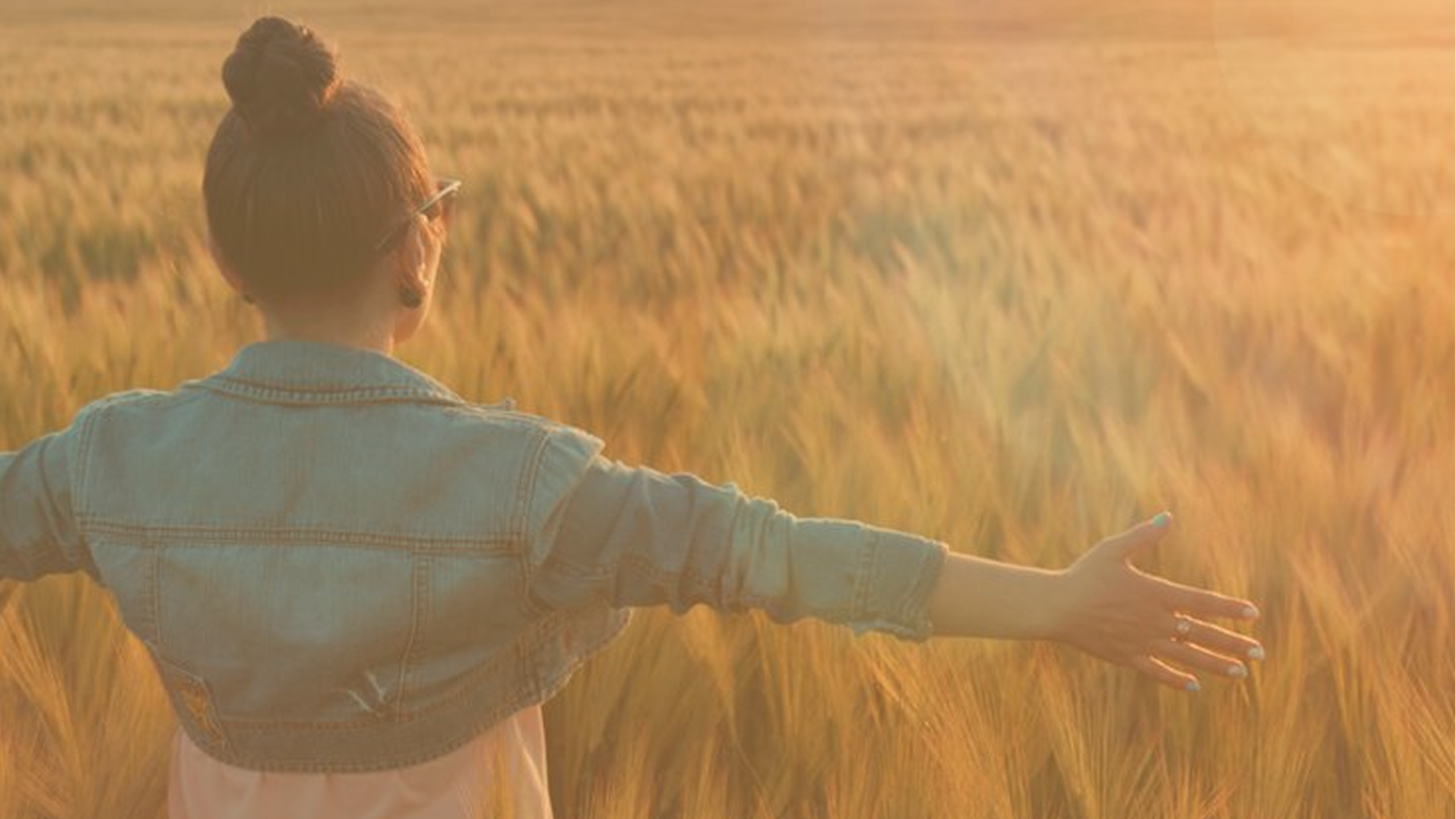 The Box You Were Trained to Stay In.&nbsp;