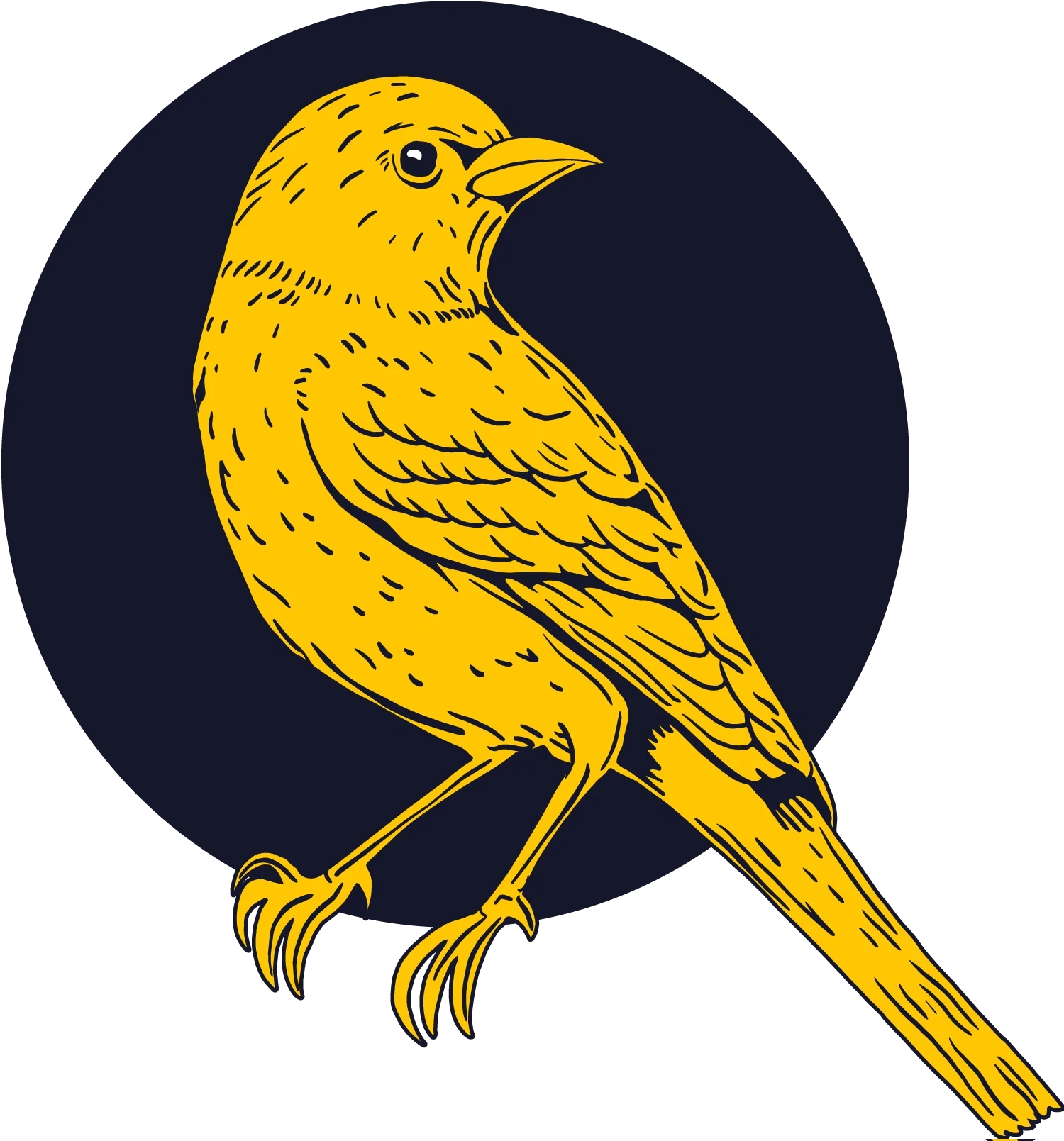 Yellow bird illustration with black outlines on a dark background.