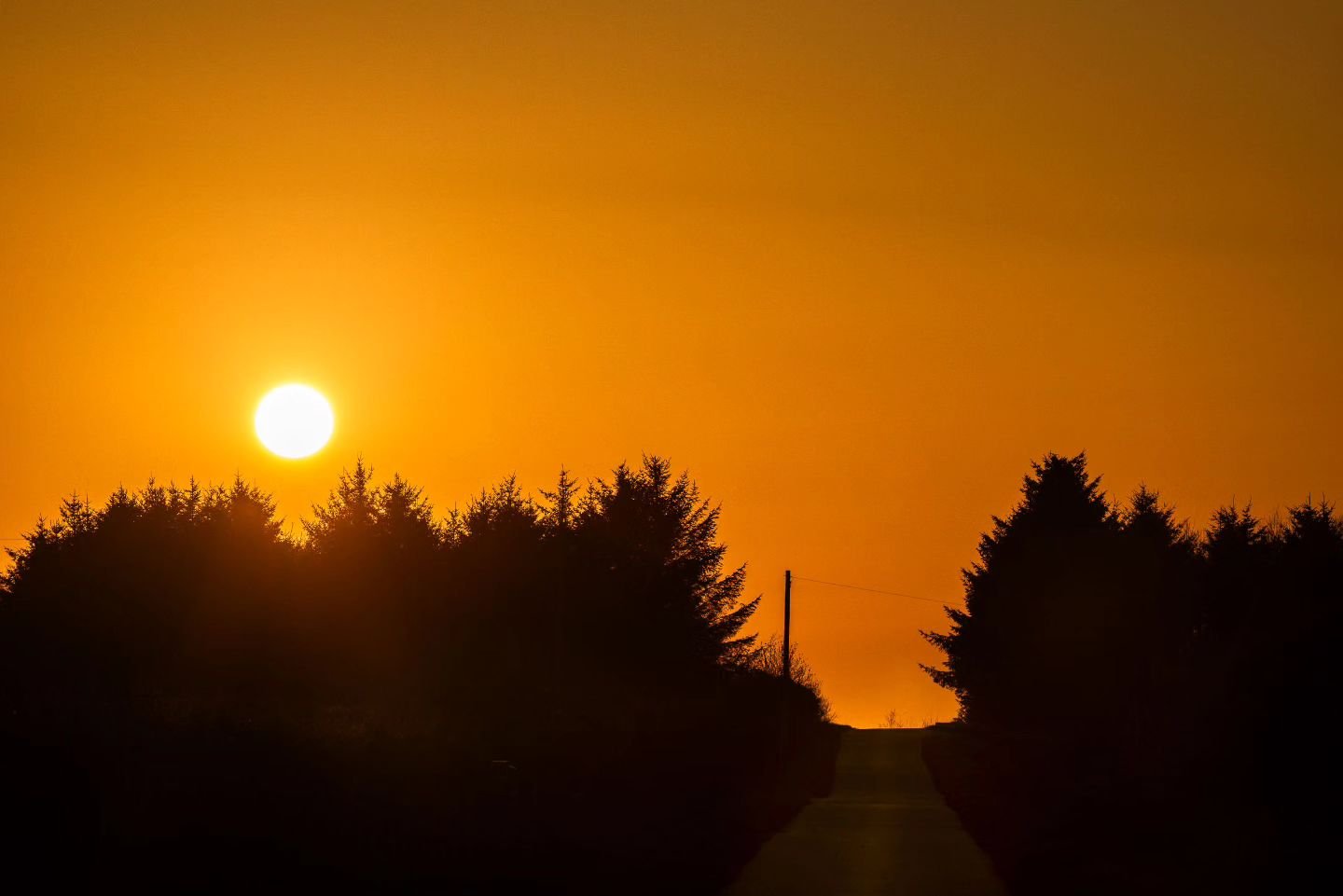 Road to Sunset Beyond. Caithness.

#sunset #fineartphotography #cinematic #landscapephotographer #artphotography #silhouette_creative #caithness #sunsetphotography