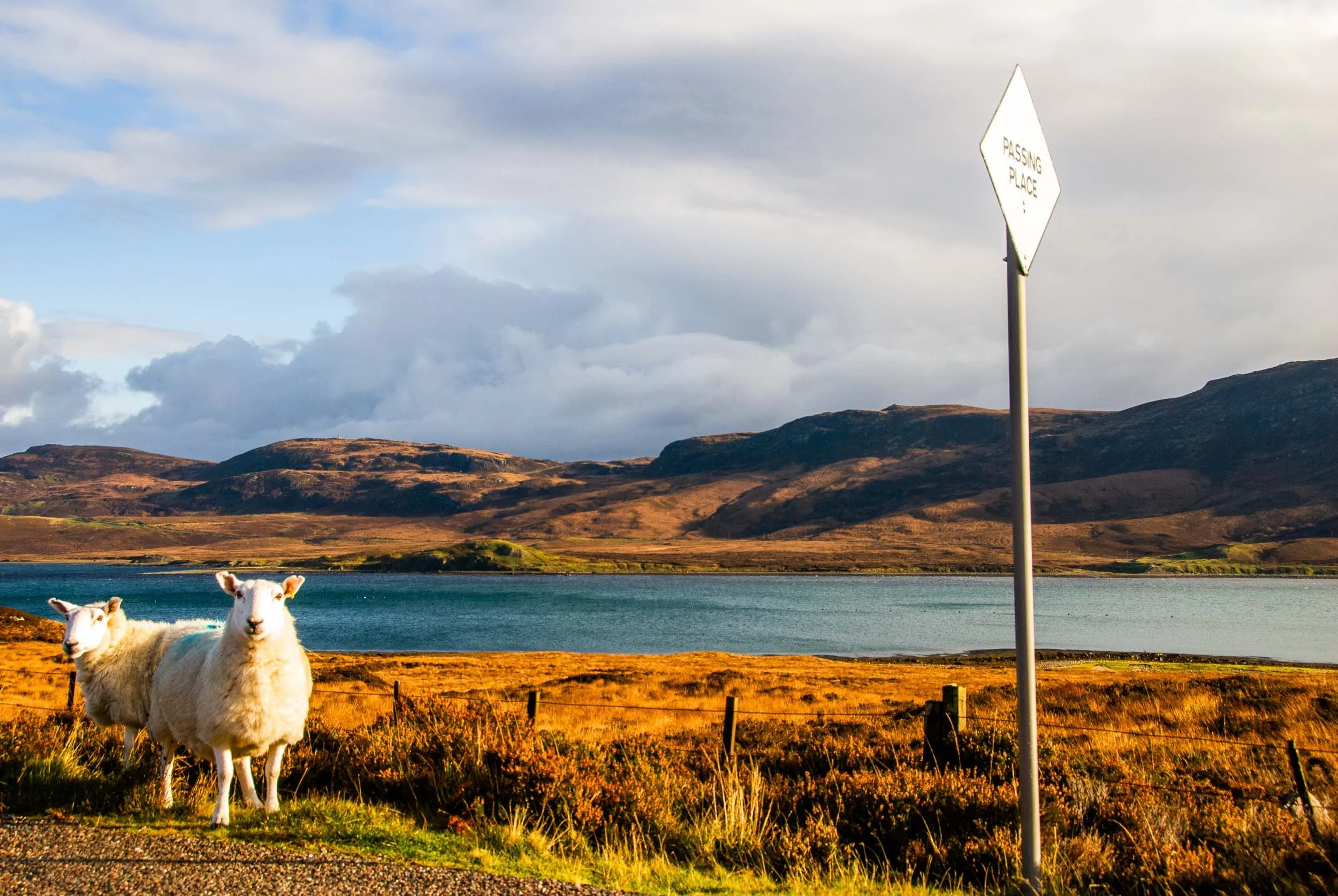 'Friends of Loch Eriboll'.  Highland landscape photography in the far north of Scotland. 