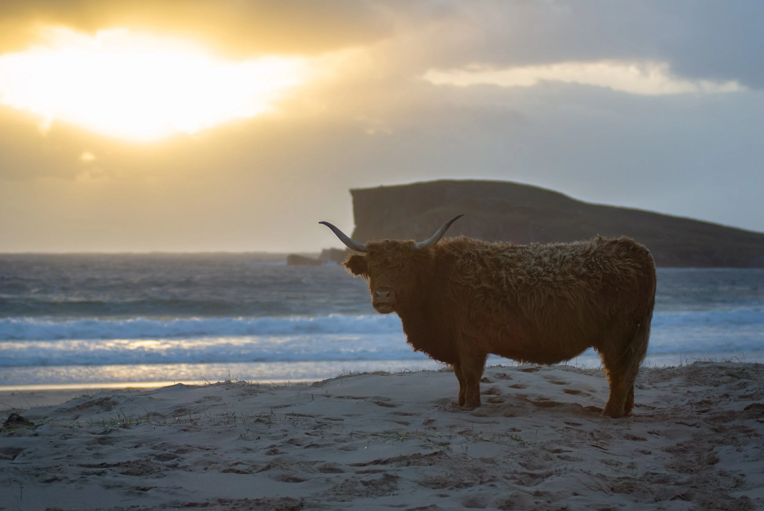'Guardian of Oldshoremore' landscape photography in the far north west of Scotland.