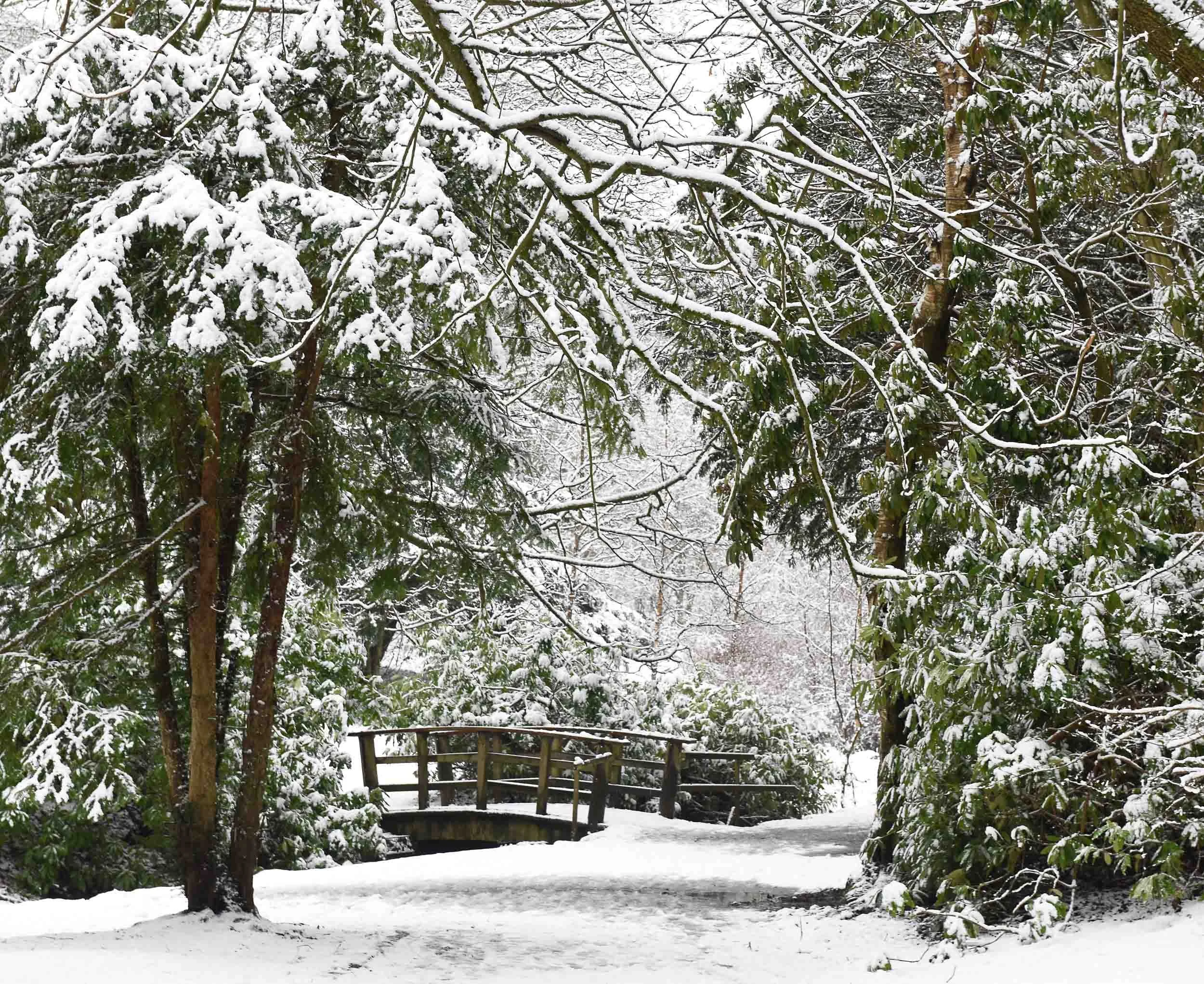 Snow Bridge, Pollok Country Park, Glasgow.