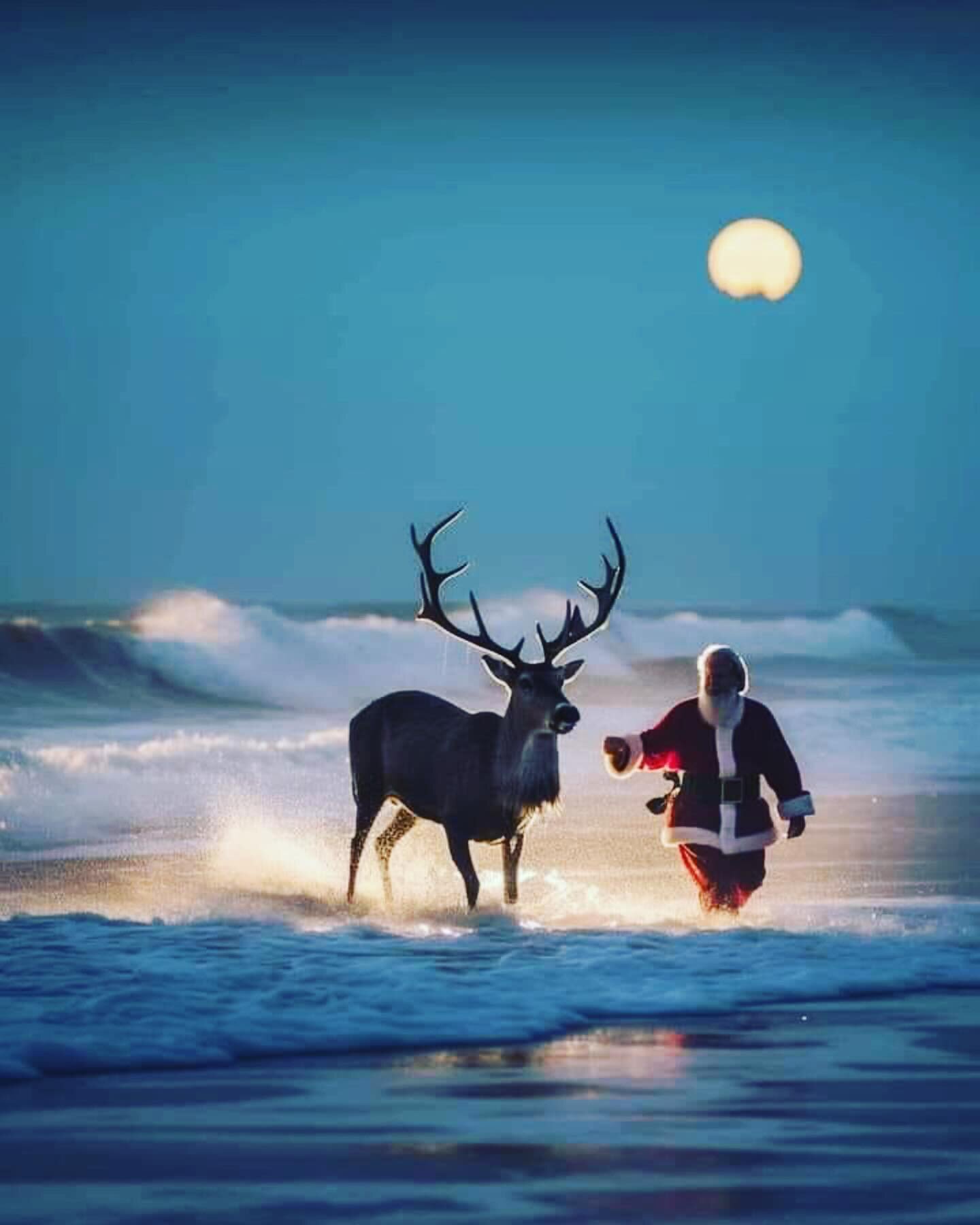 Merry Christmas from us!  We were so excited to bump into Santa and Rudolph this morning enjoying our beaches in 1770.  #merrychristmas #seventeenseventy #agneswater #holidays #happyholidays #australianbeaches #queensland #queenslandtourism #qldbeach